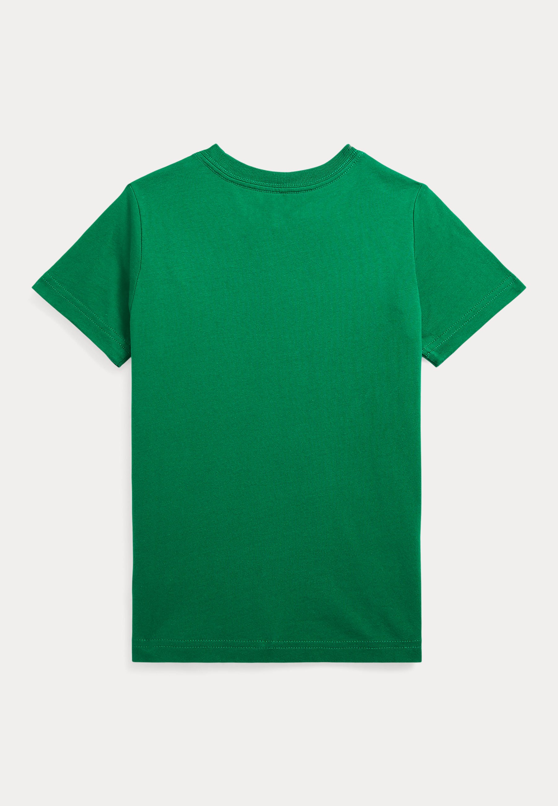 Polo Ralph Lauren Print T-shirt - primary green city royal/green