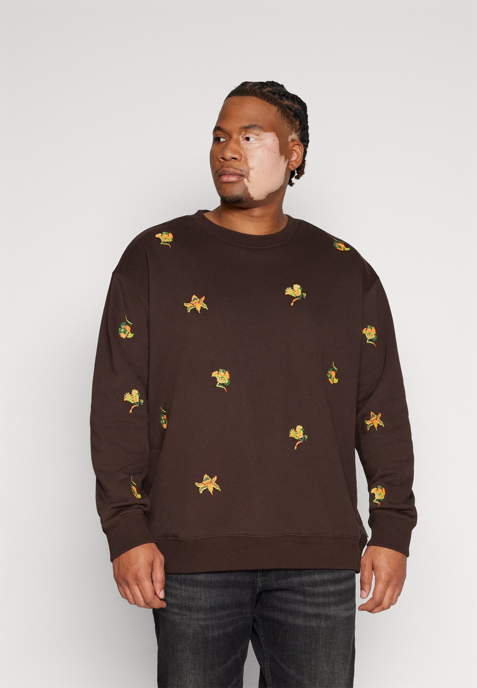 Scotch & Soda REGULAR FIT EMBROIDERY - Sweatshirt - wildflower chocolate/dark brown