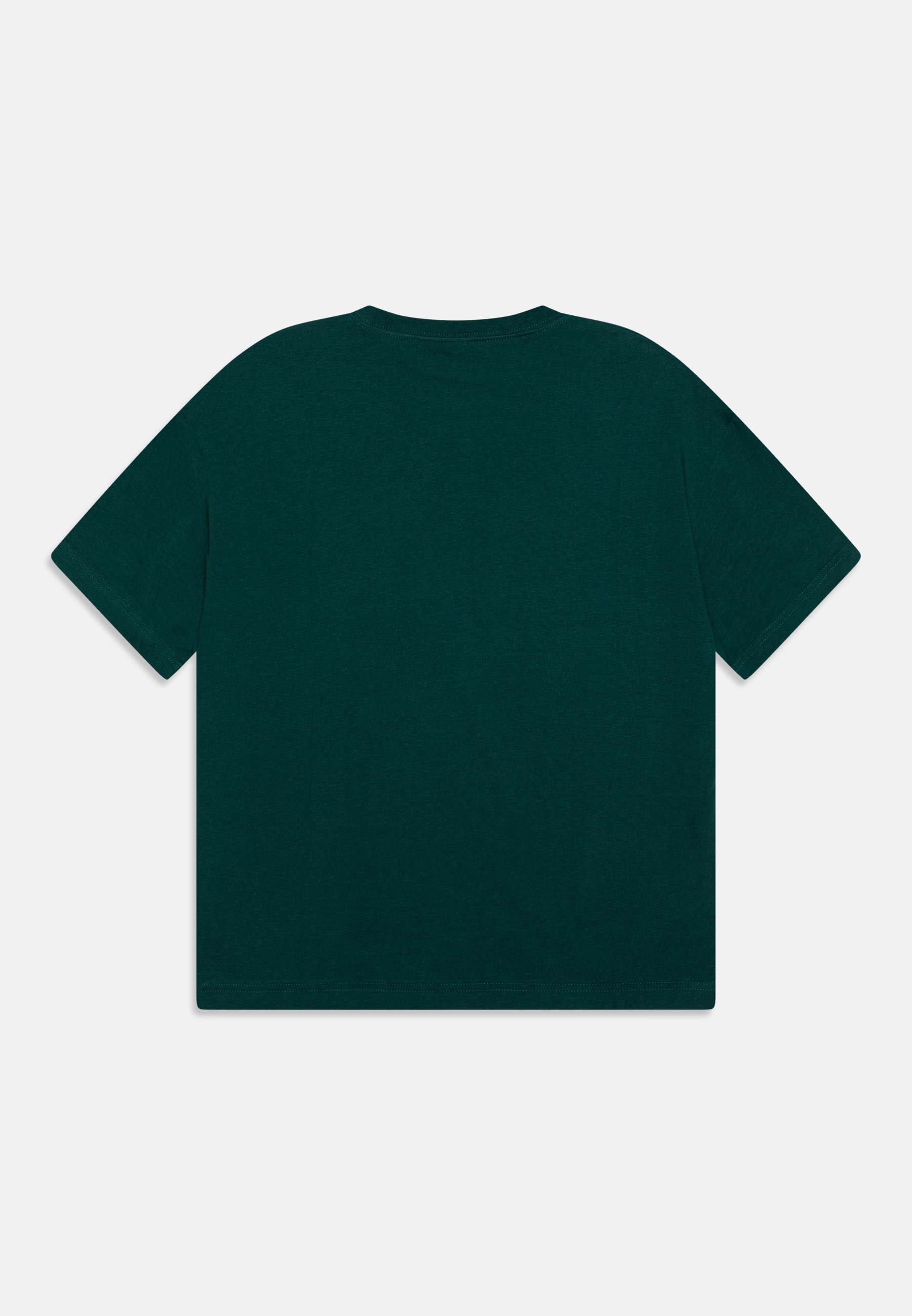 Converse HELIER UNISEX - Basic T-shirt - dragon scale/dark green