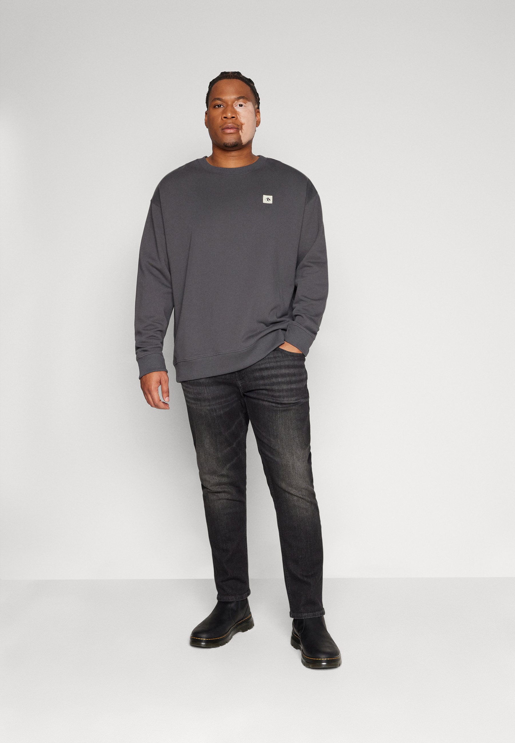 Scotch & Soda REGULAR FIT LOGO BADGE - Sweatshirt - moondust/dark grey