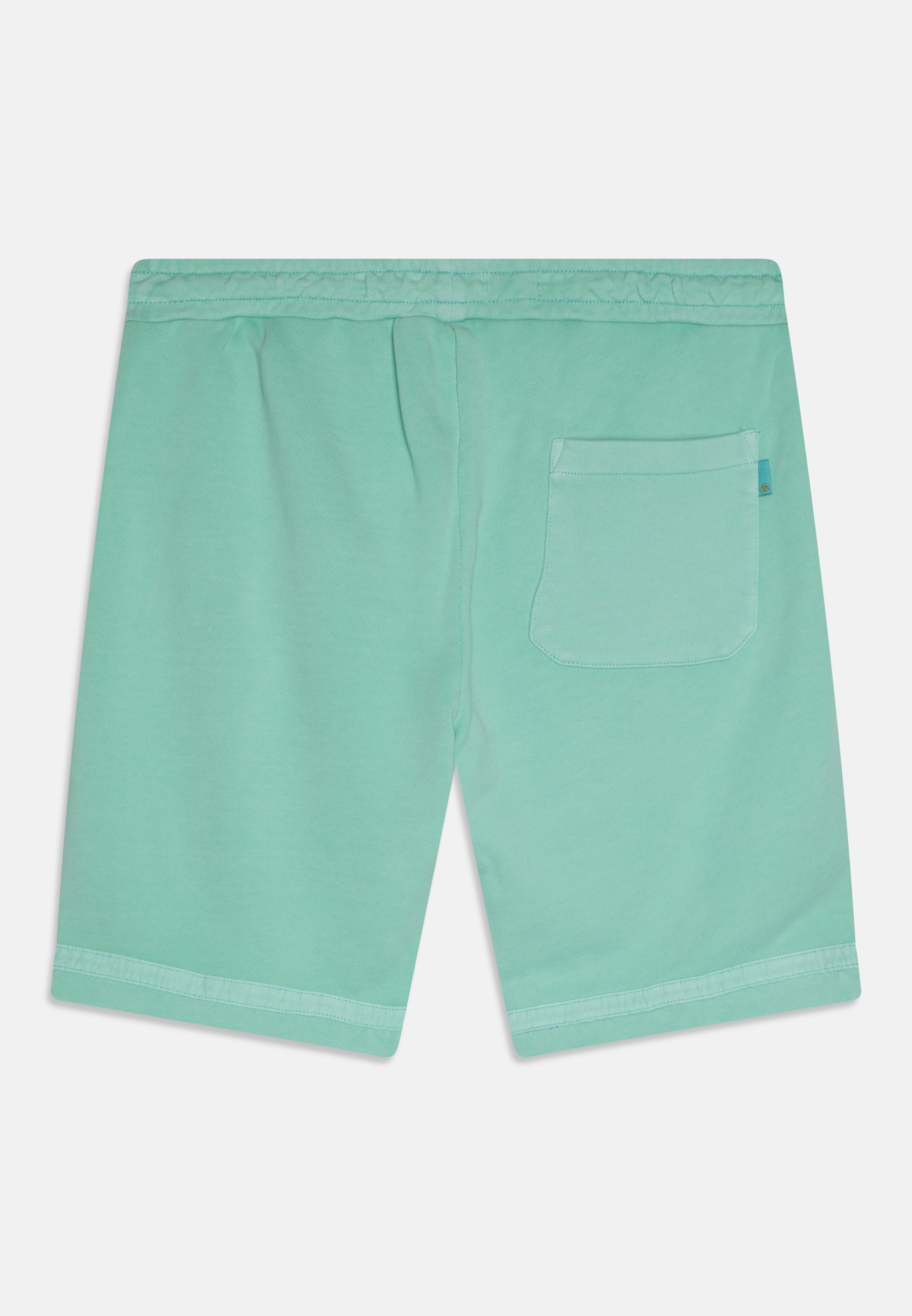 Scotch & Soda GARMENT DYED - Tracksuit bottoms - mint