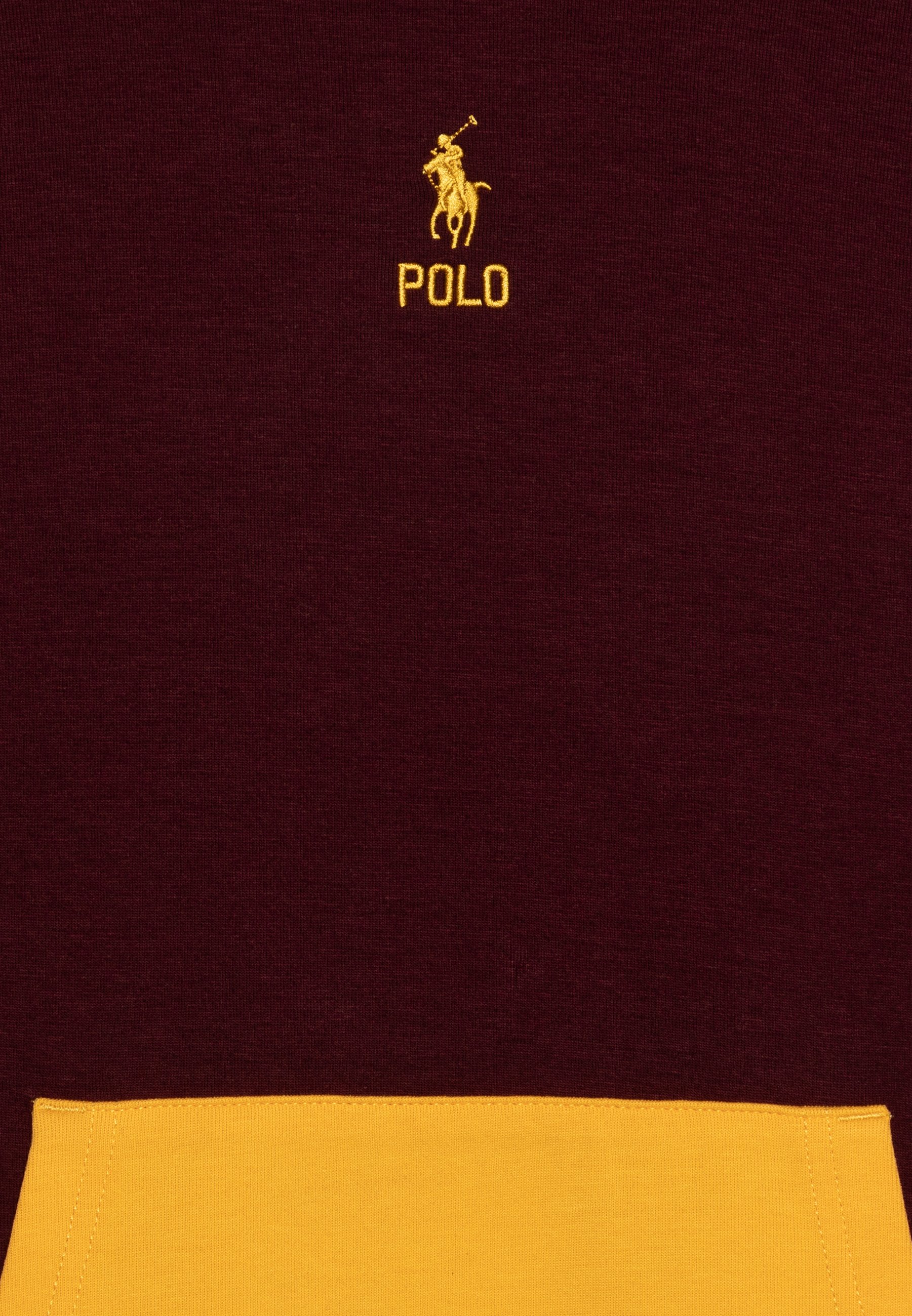 Polo Ralph Lauren Hoodie - harvard wine/multi-coloured