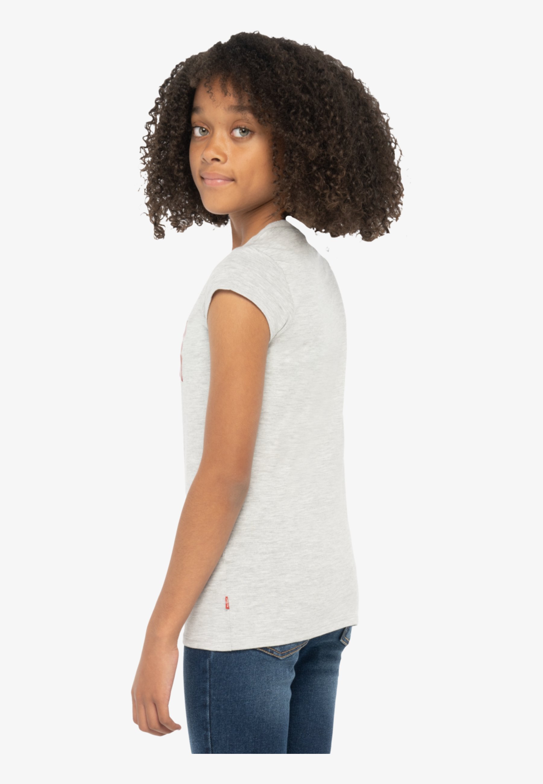 Levi's® BATWING TEE - Print T-shirt - grey heather/grey