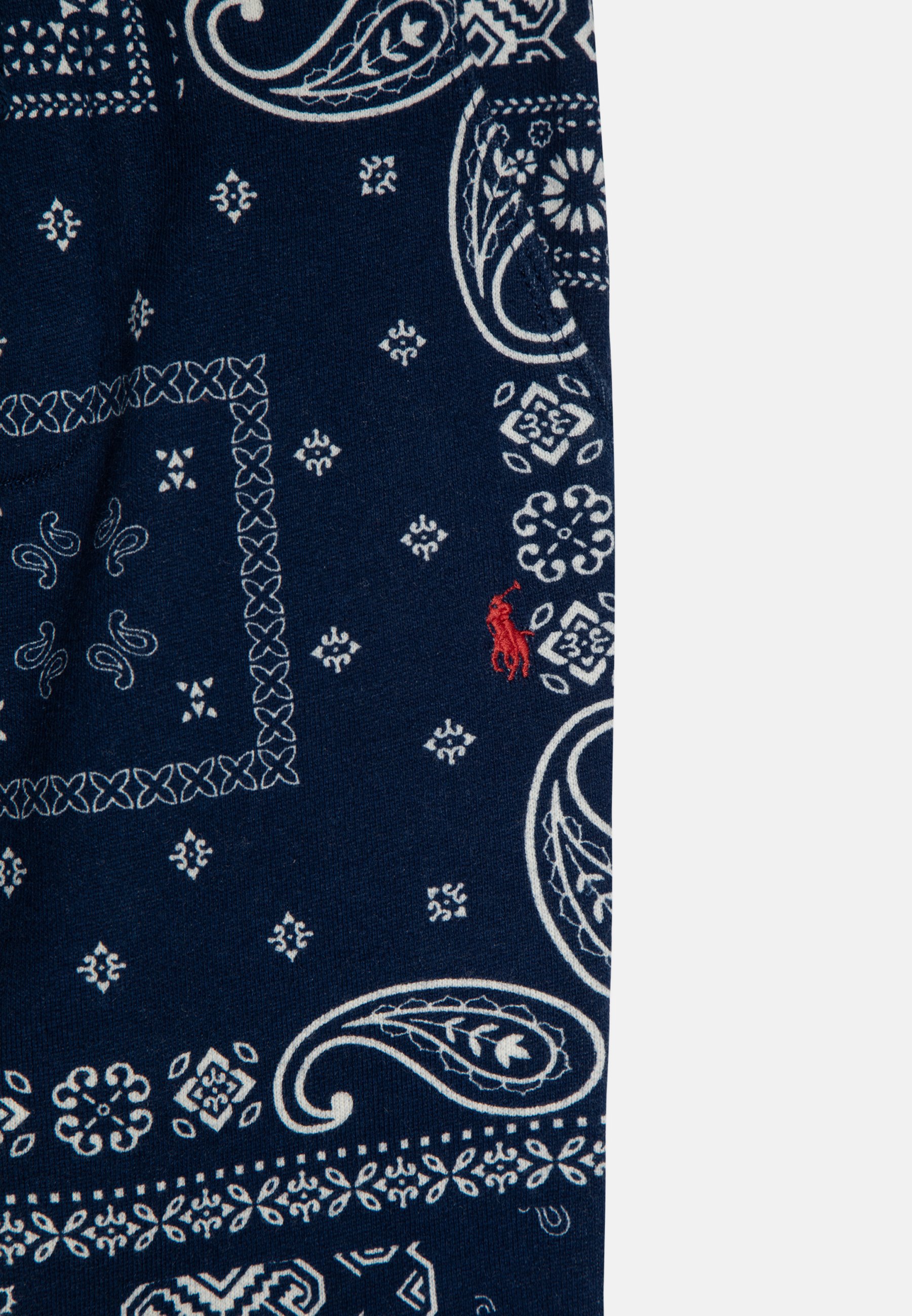 Polo Ralph Lauren ATHLETIC - Tracksuit bottoms - back country/multi-coloured