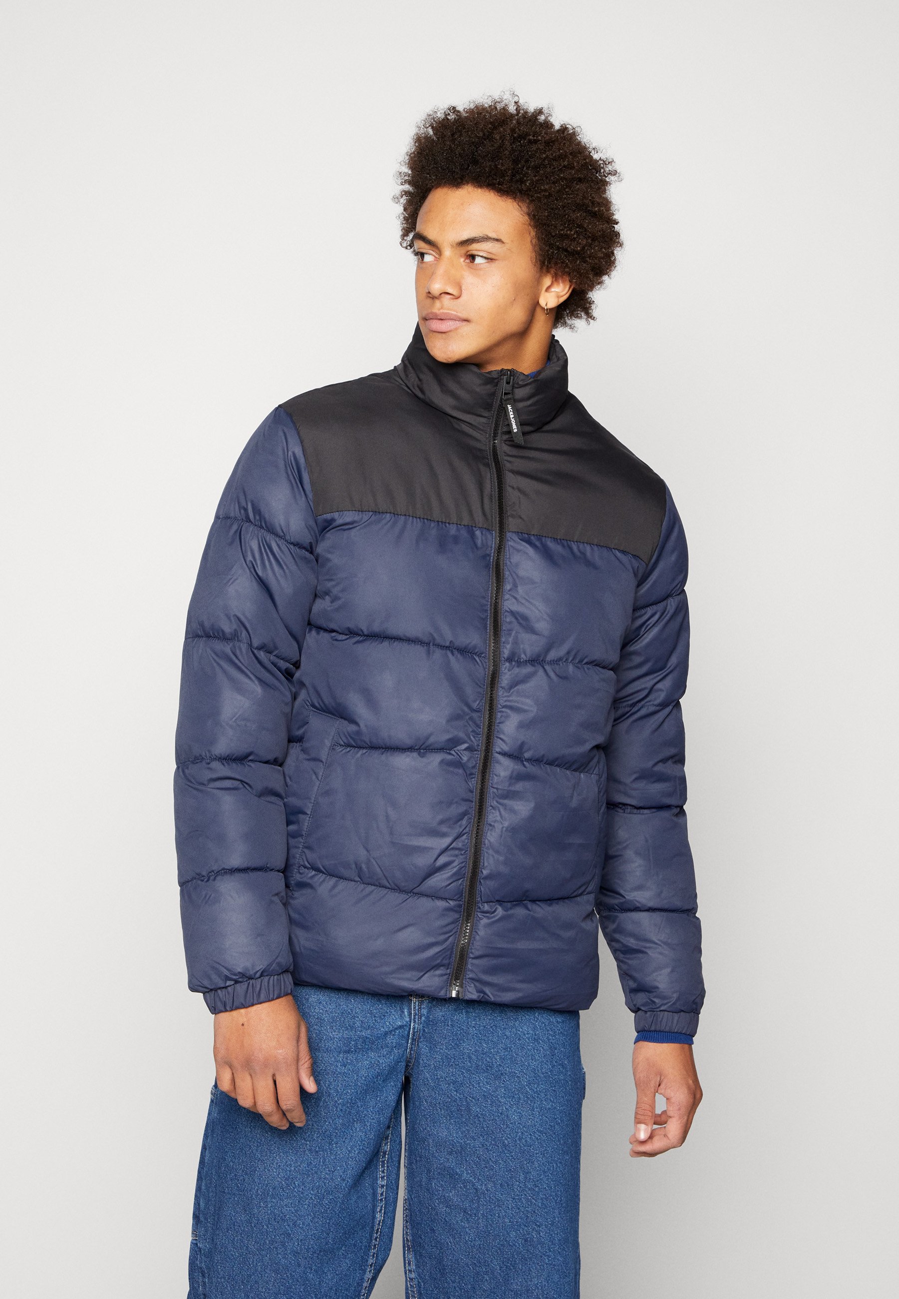 Jack &Jones CHILI - Winter jacket - navy blazer/dark blue