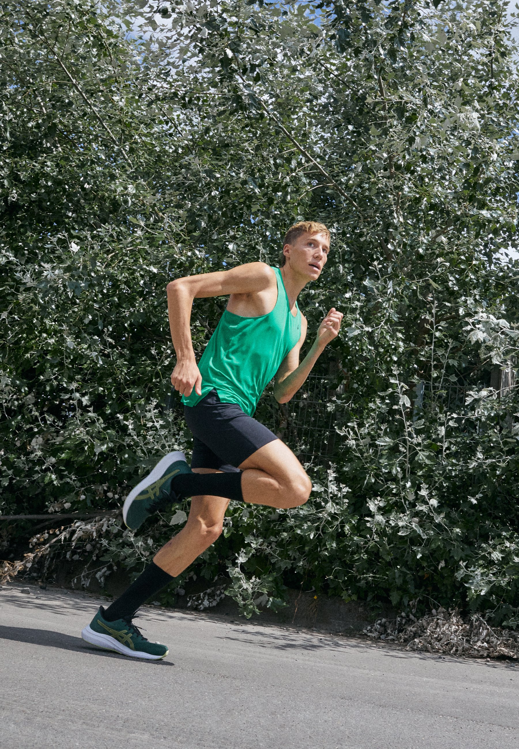 ASICS JOLT 4 - Neutral running shoes - rain forest/cactus/green