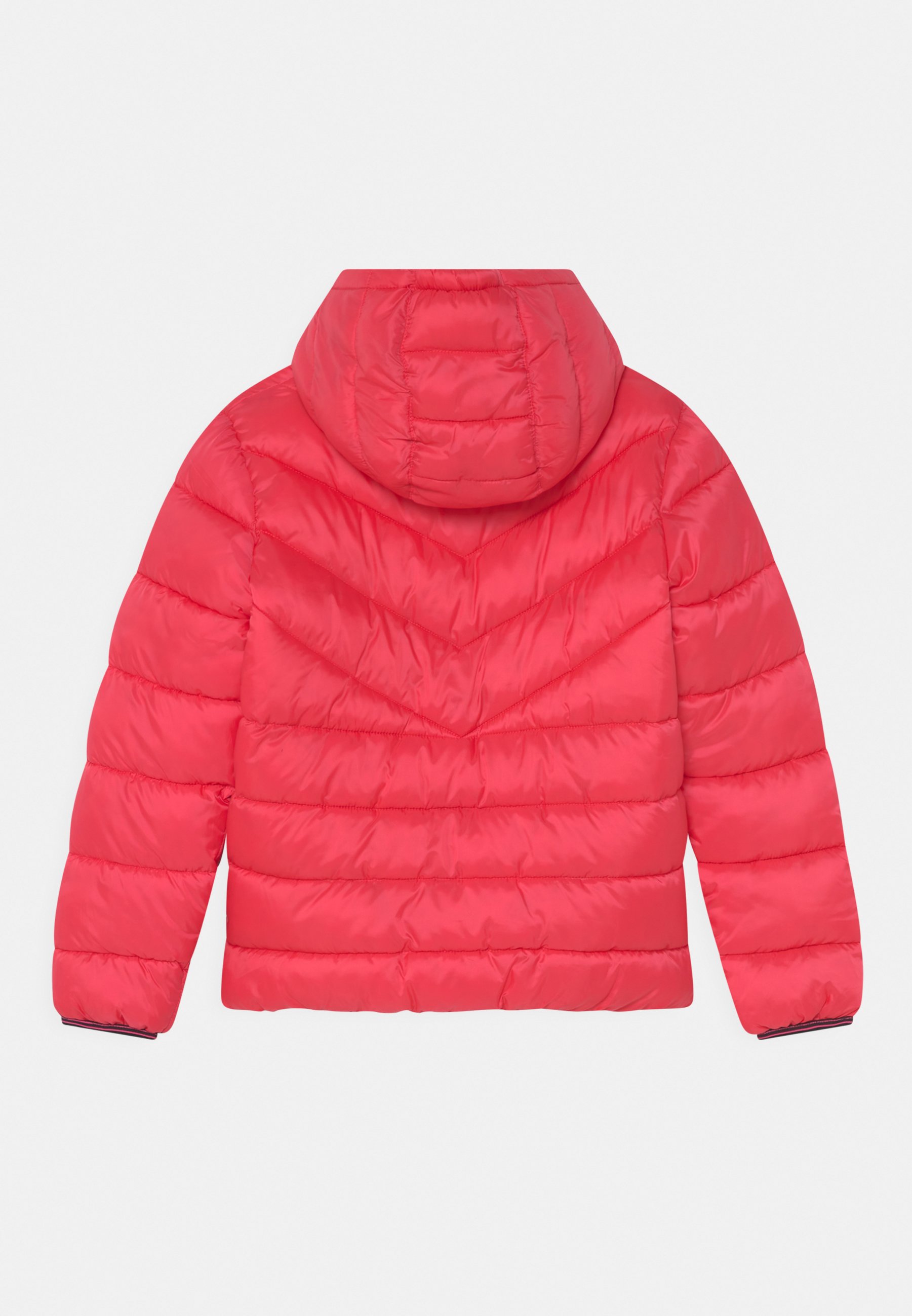 Converse GIRLS SOLID PUFFER  - Winter jacket - converse pink/pink