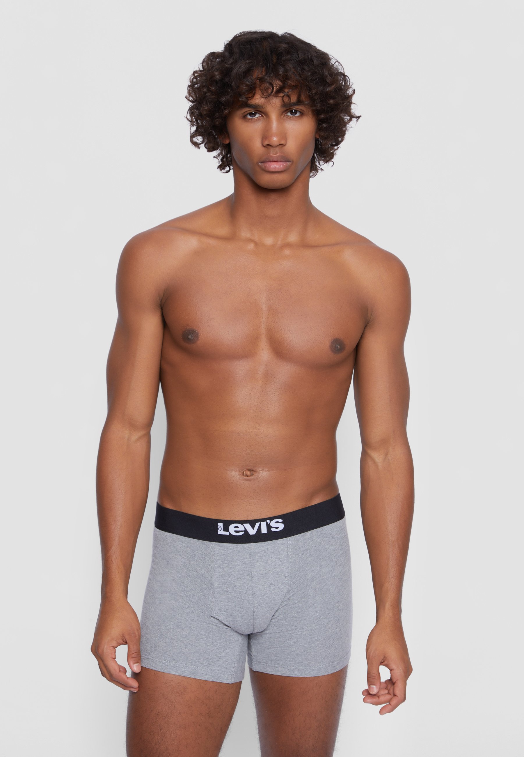 Levi's® MEN SOLID BASIC BOXER BRIEF 4 PACK - Pants - black/grey melange/grey