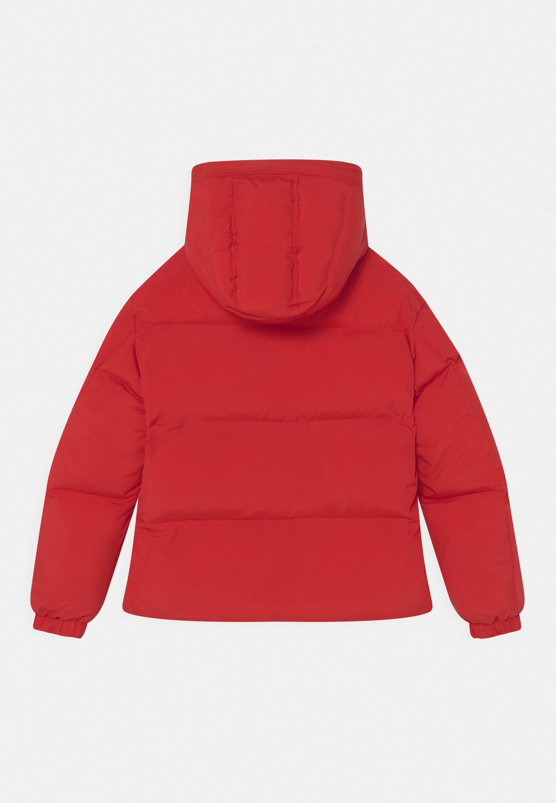 Diesel UNISEX - Winter jacket - carnation red/red