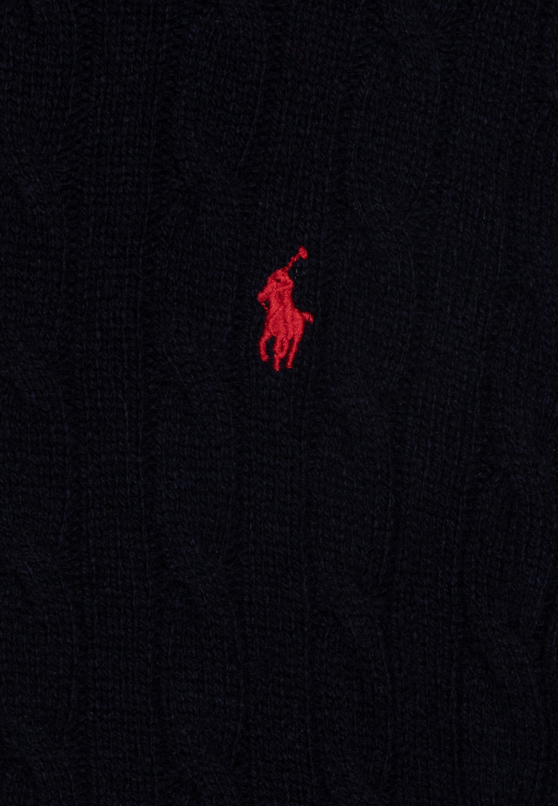 Polo Ralph Lauren Jumper - hunter navy/red/dark blue