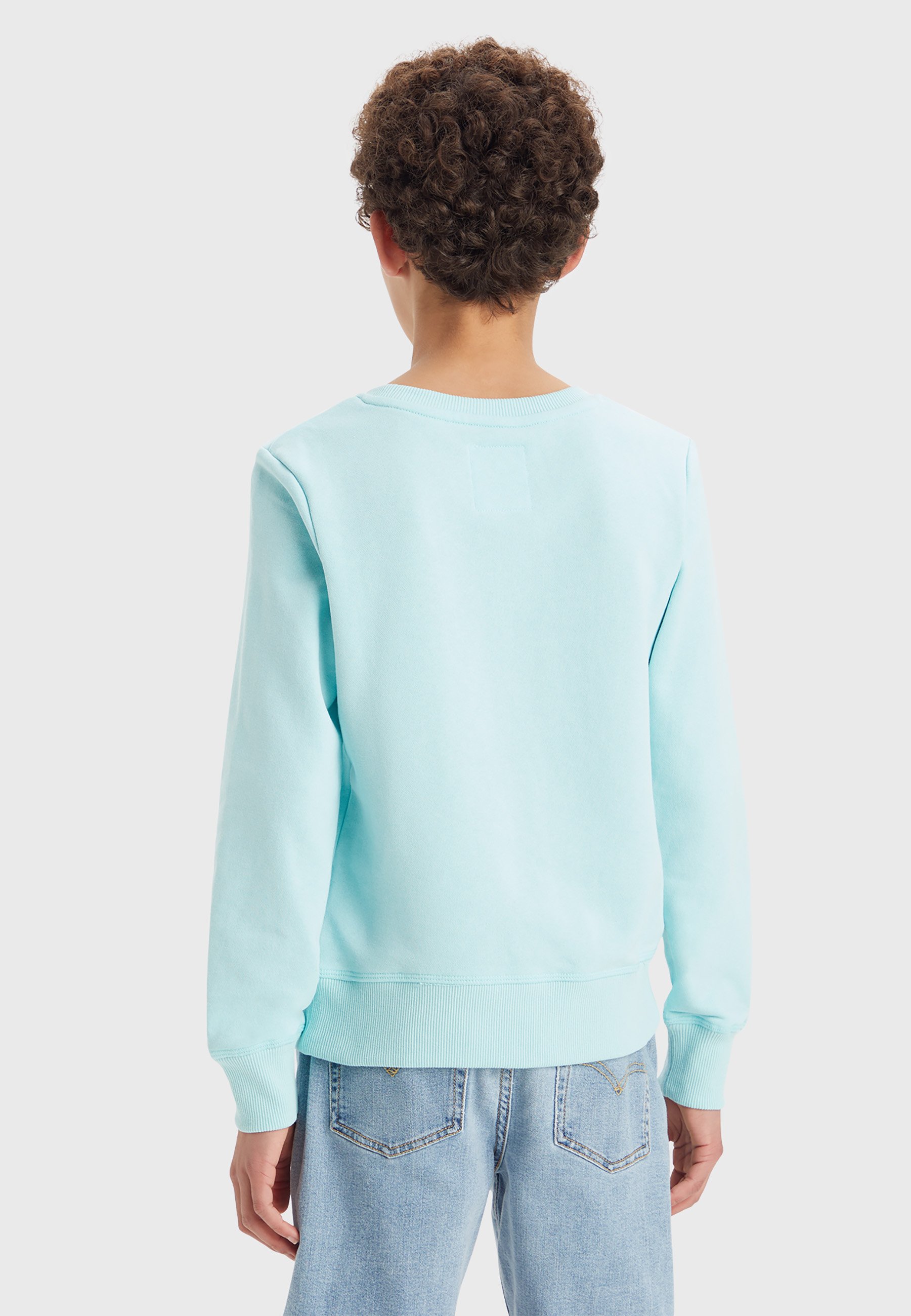 Levi's® BATWING - Sweatshirt - pastel turquoise/turquoise