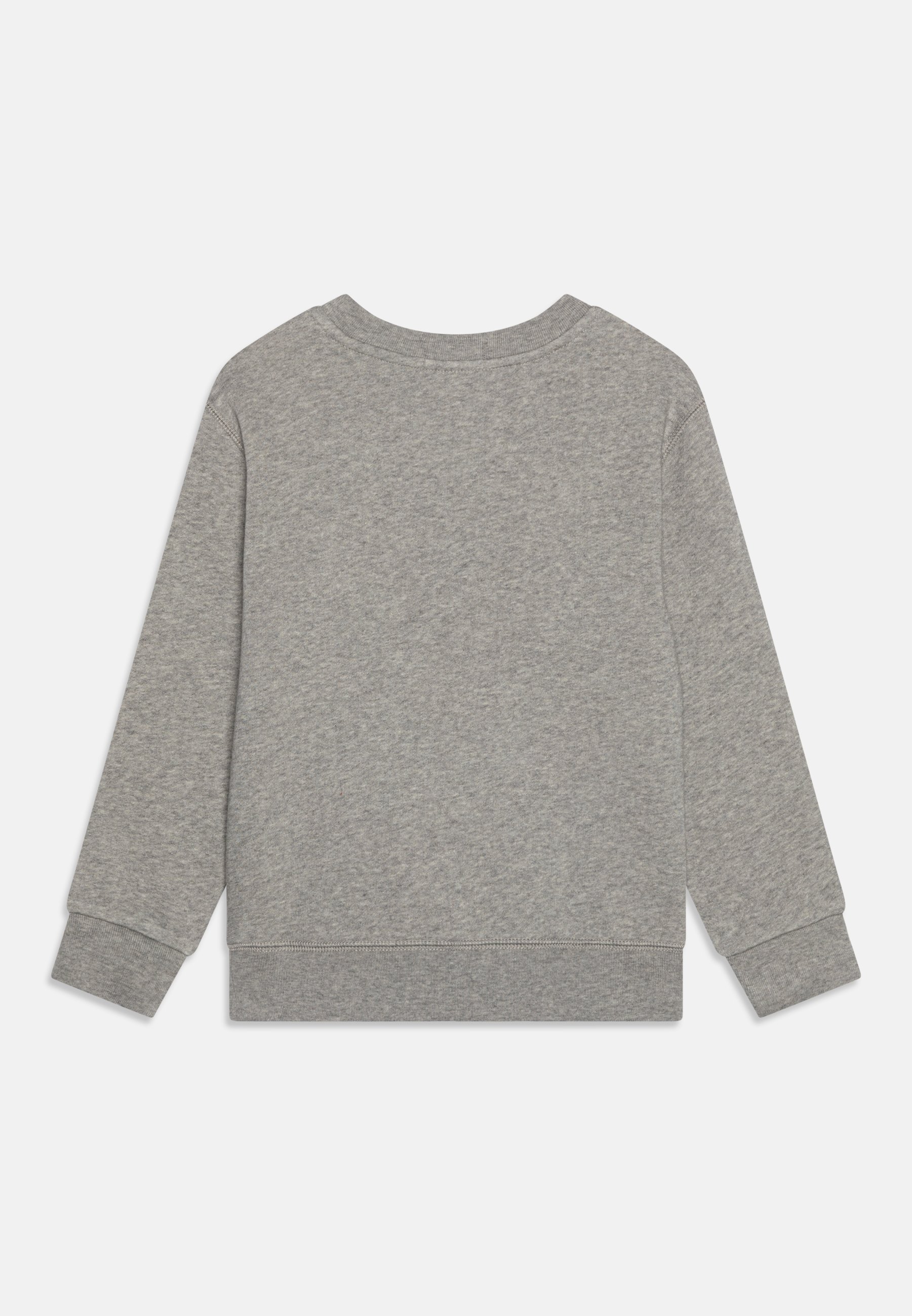 Polo Ralph Lauren Sweatshirt - andover heather/grey