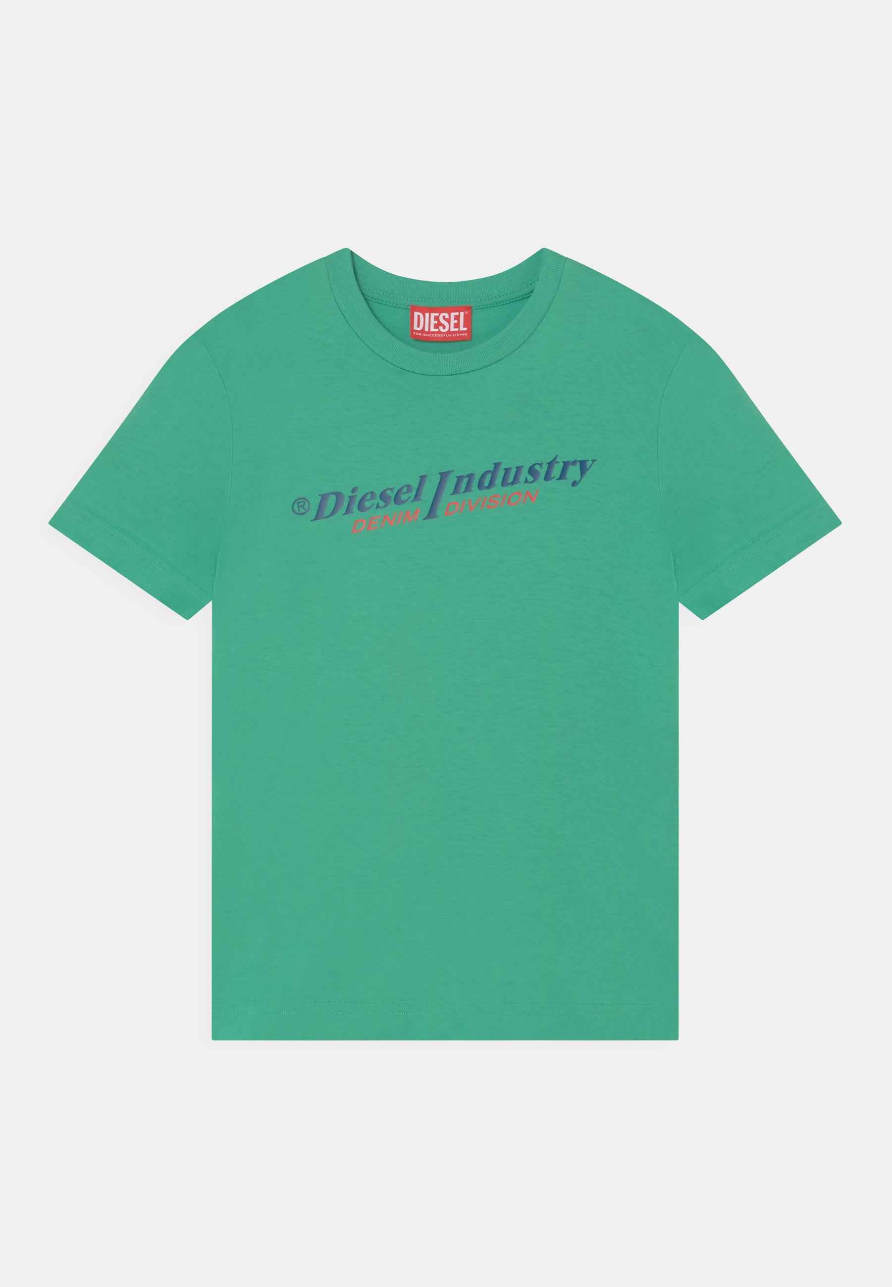 Diesel TDIEGORIND - Print T-shirt - light green