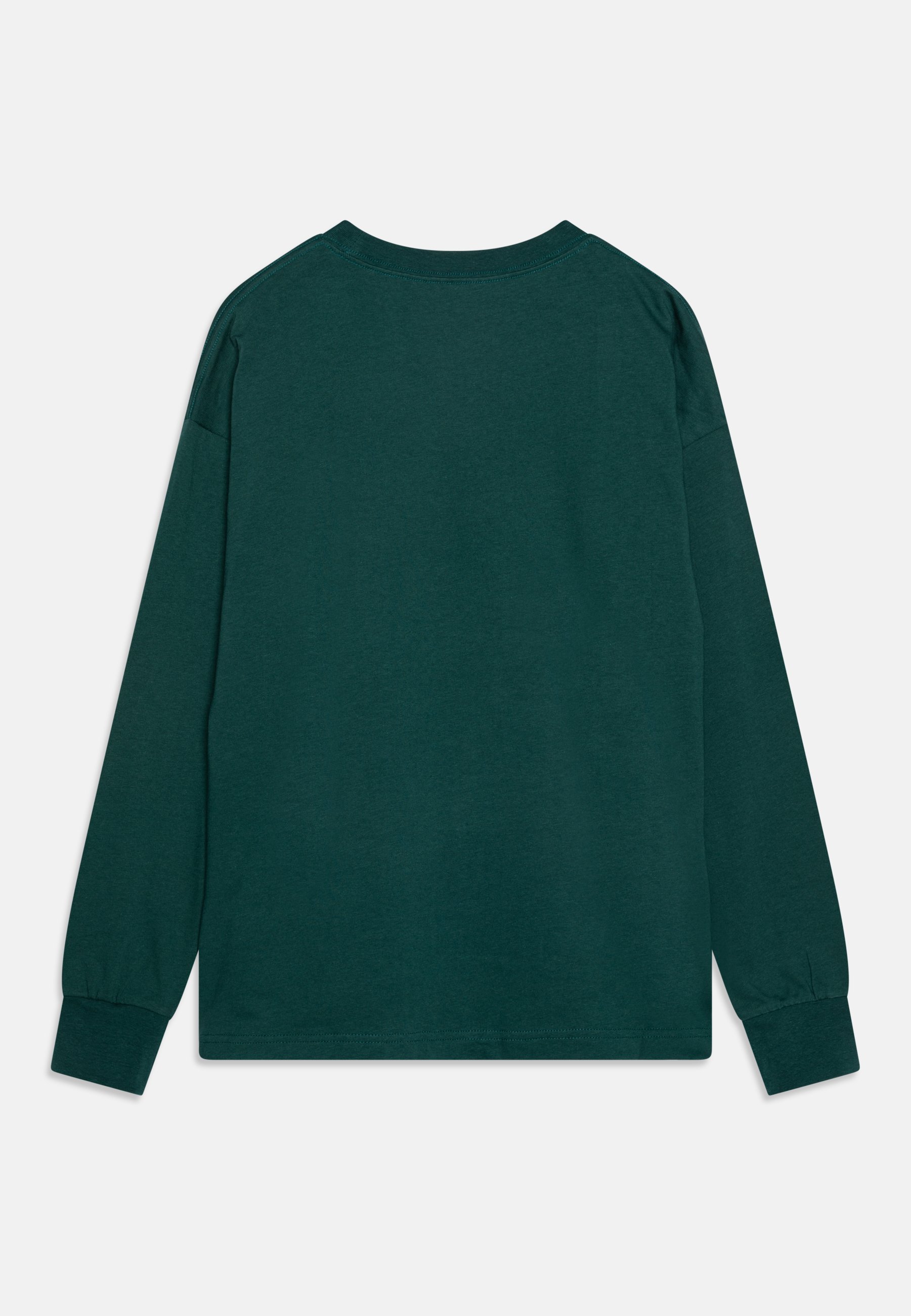Converse HELIER UNISEX - Long sleeved top - dragon scale/dark green
