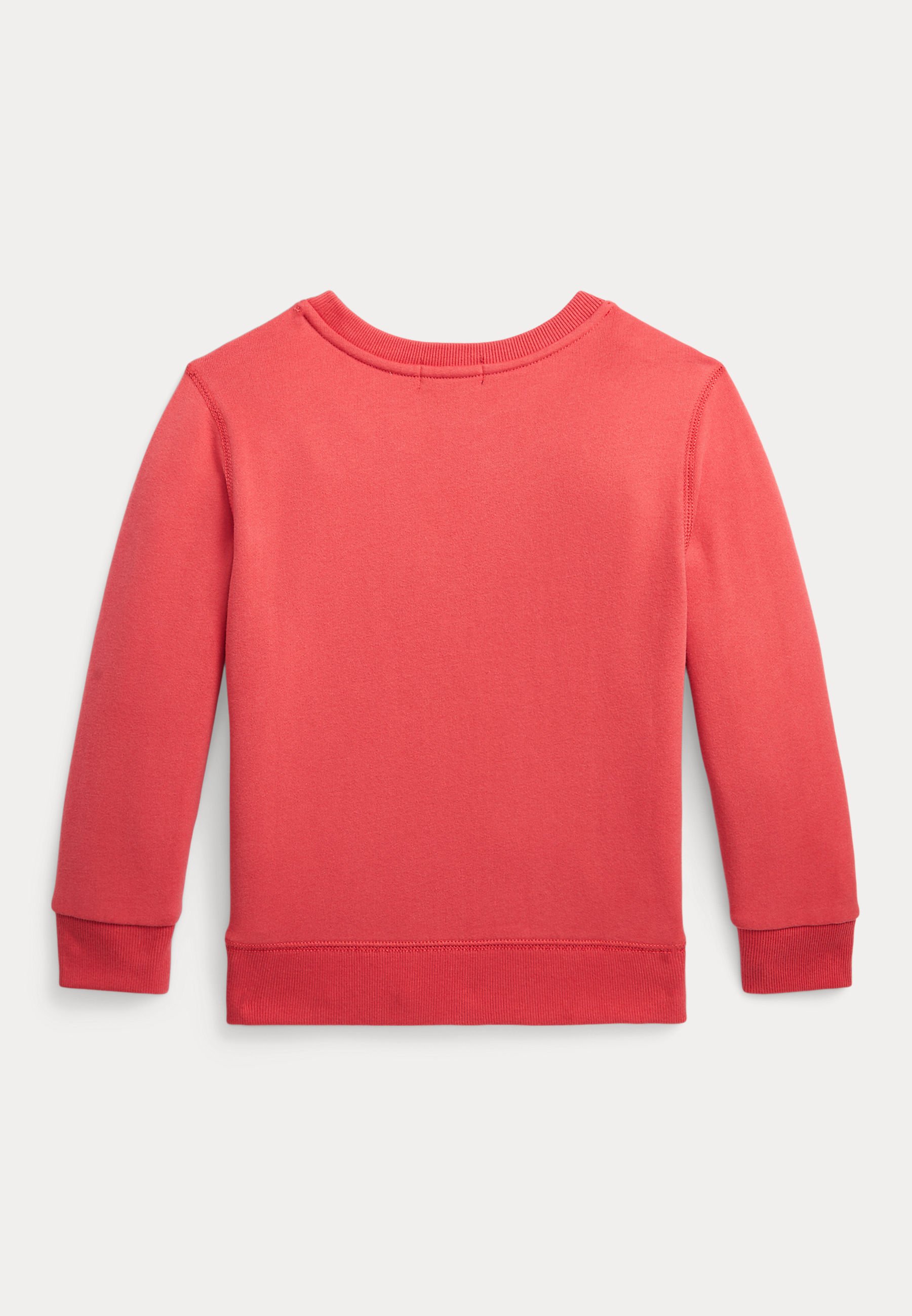 Polo Ralph Lauren Sweatshirt - spring red/multi-coloured