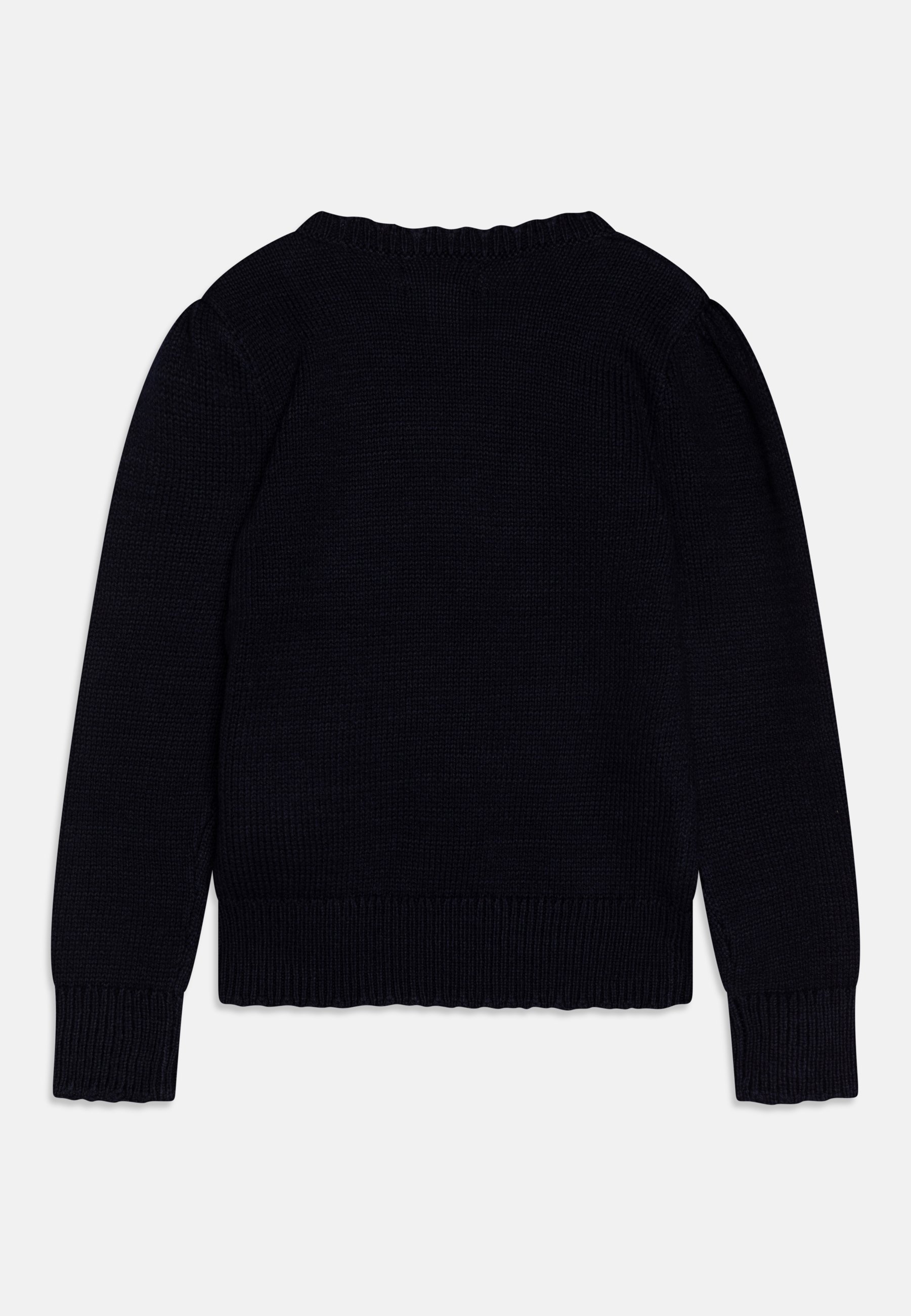 Polo Ralph Lauren BEAR  - Jumper - navy/blue
