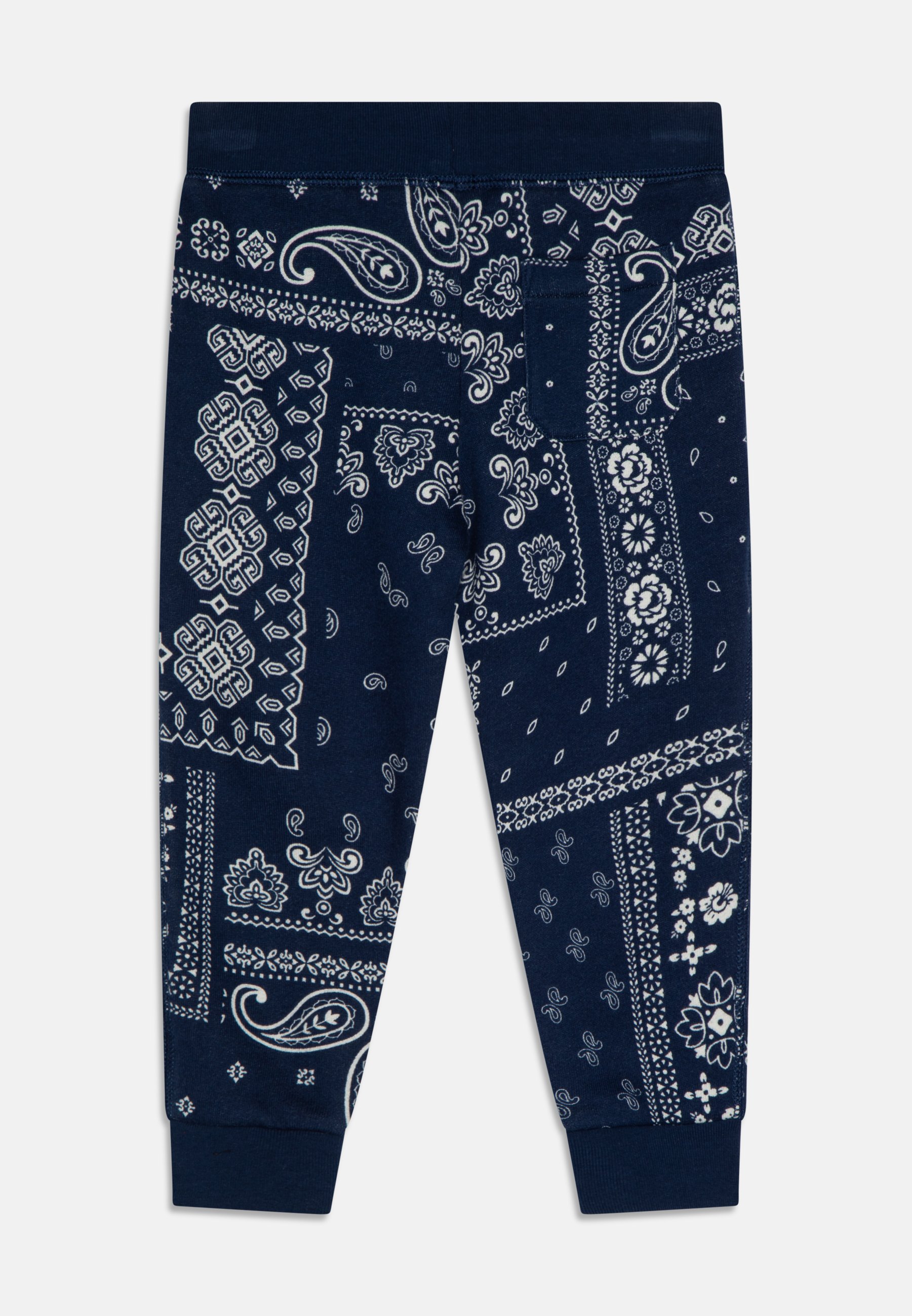 Polo Ralph Lauren ATHLETIC - Tracksuit bottoms - back country/multi-coloured
