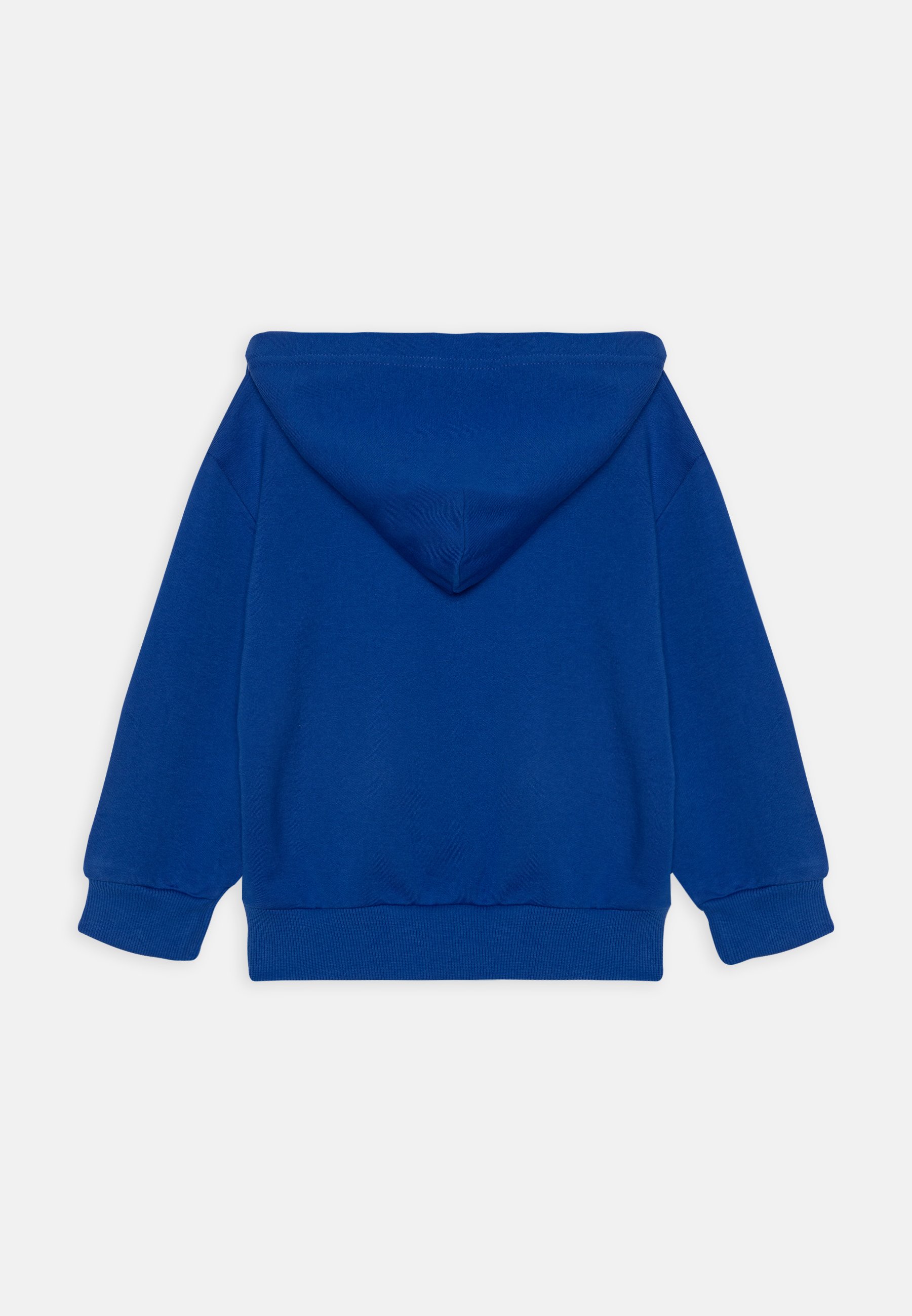 Diesel LSFORT DI OVER HOOD UNISEX - Hoodie - surf the web/blue