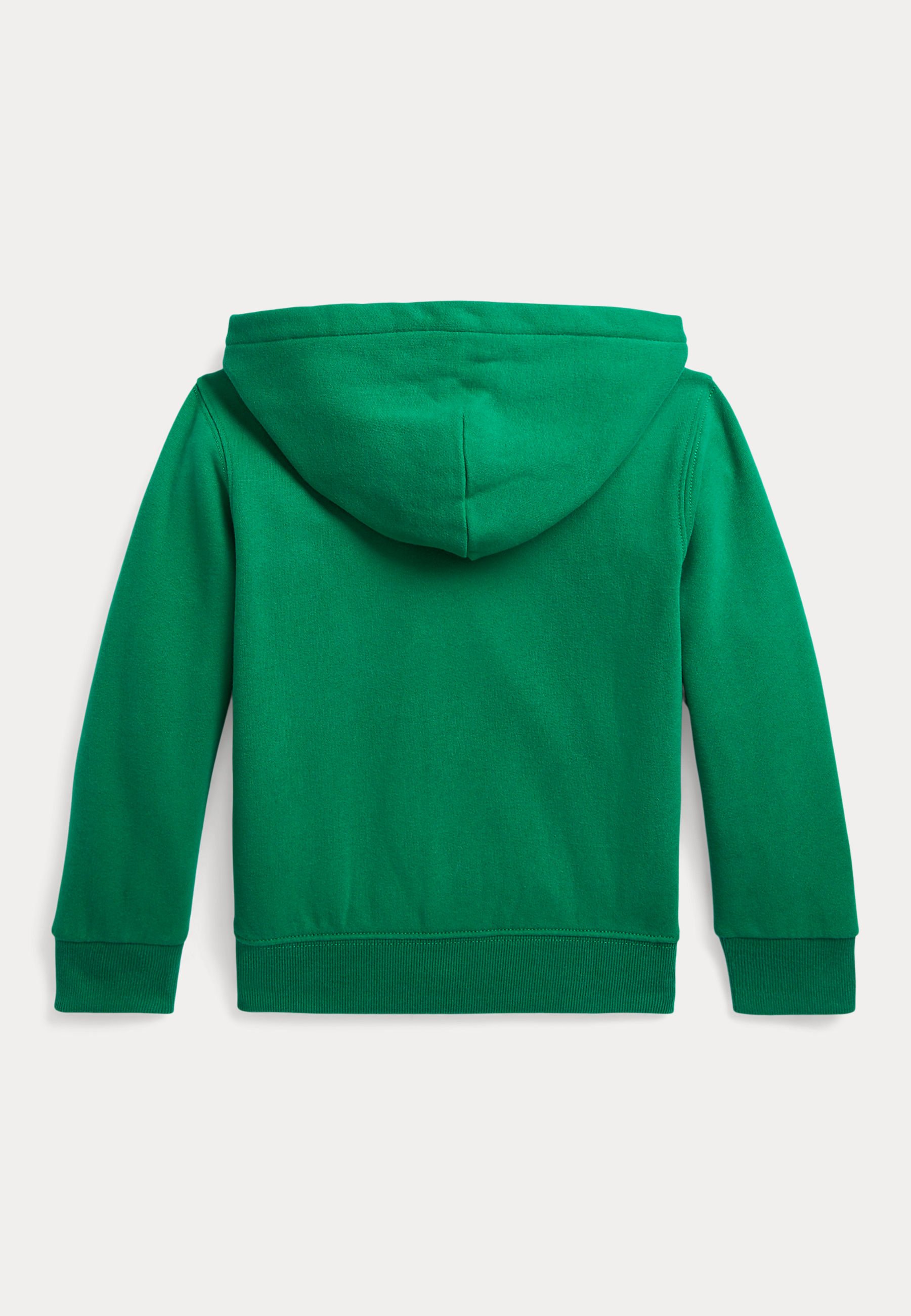 Polo Ralph Lauren HOOD - Zip-up sweatshirt - primary green city royal/green