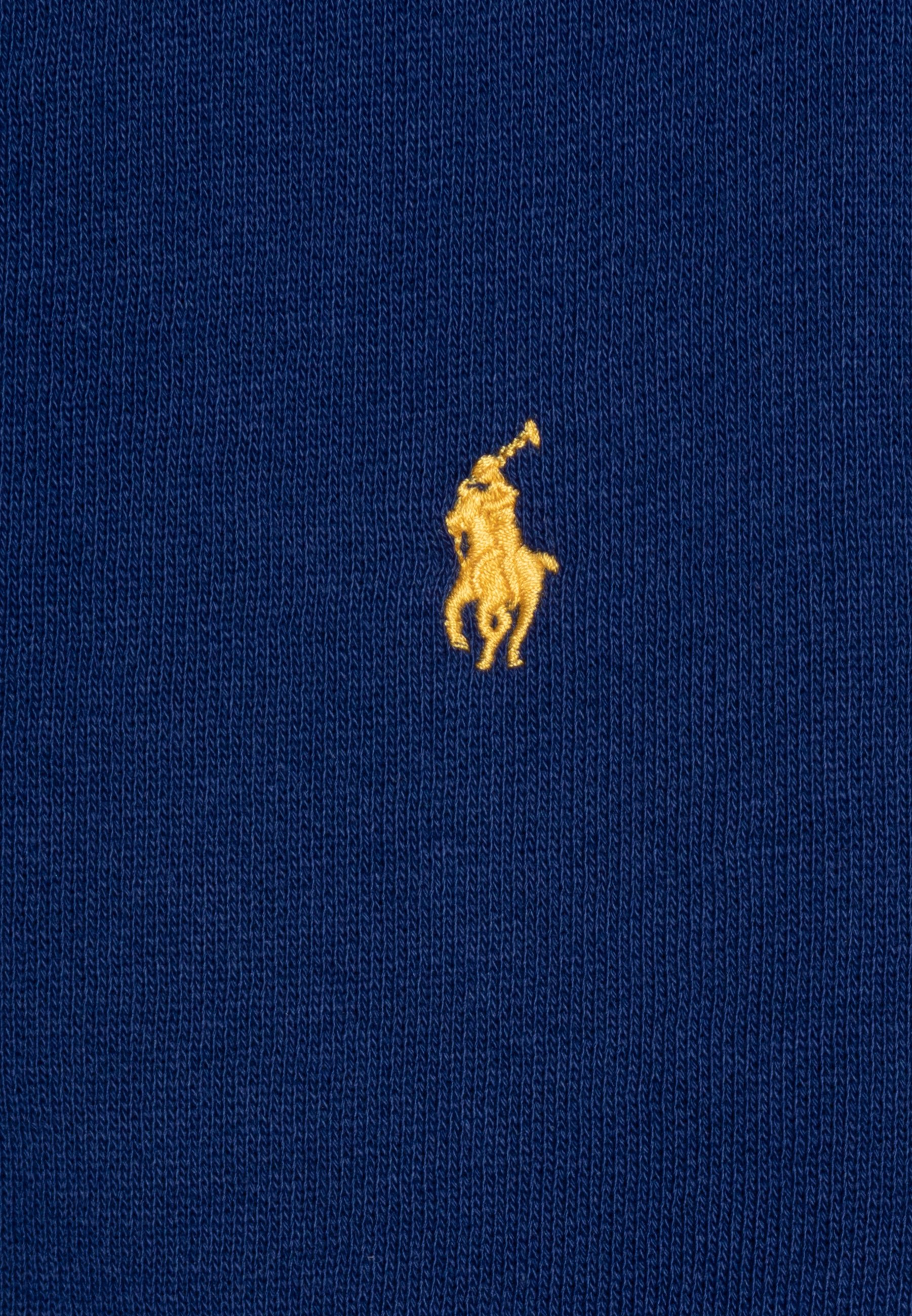 Polo Ralph Lauren HOOD - Zip-up sweatshirt - chalet blue/light blue