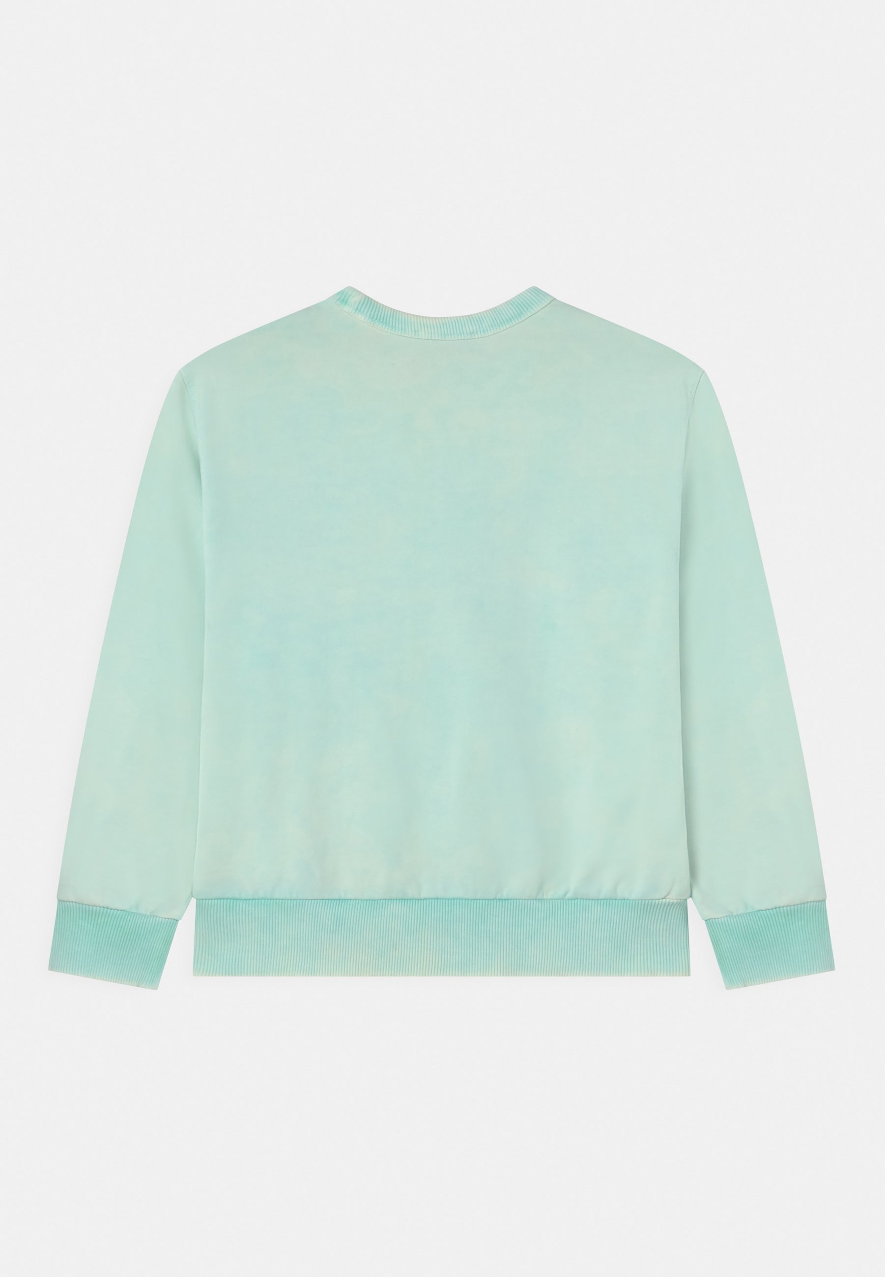 Diesel SQUAK OVER - Sweatshirt - katydid/light green