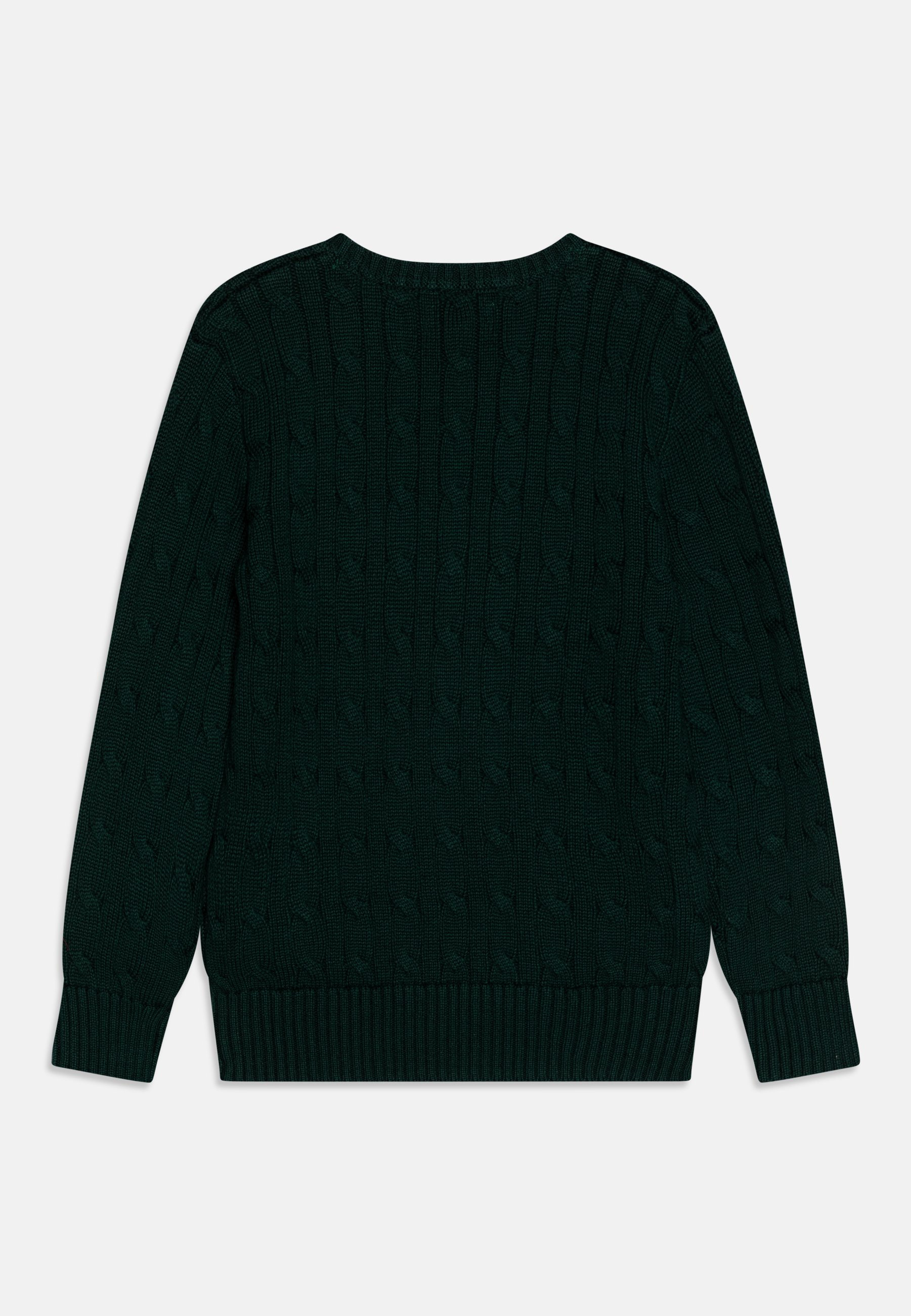 Polo Ralph Lauren CABLE  - Jumper - moss agate/evergreen