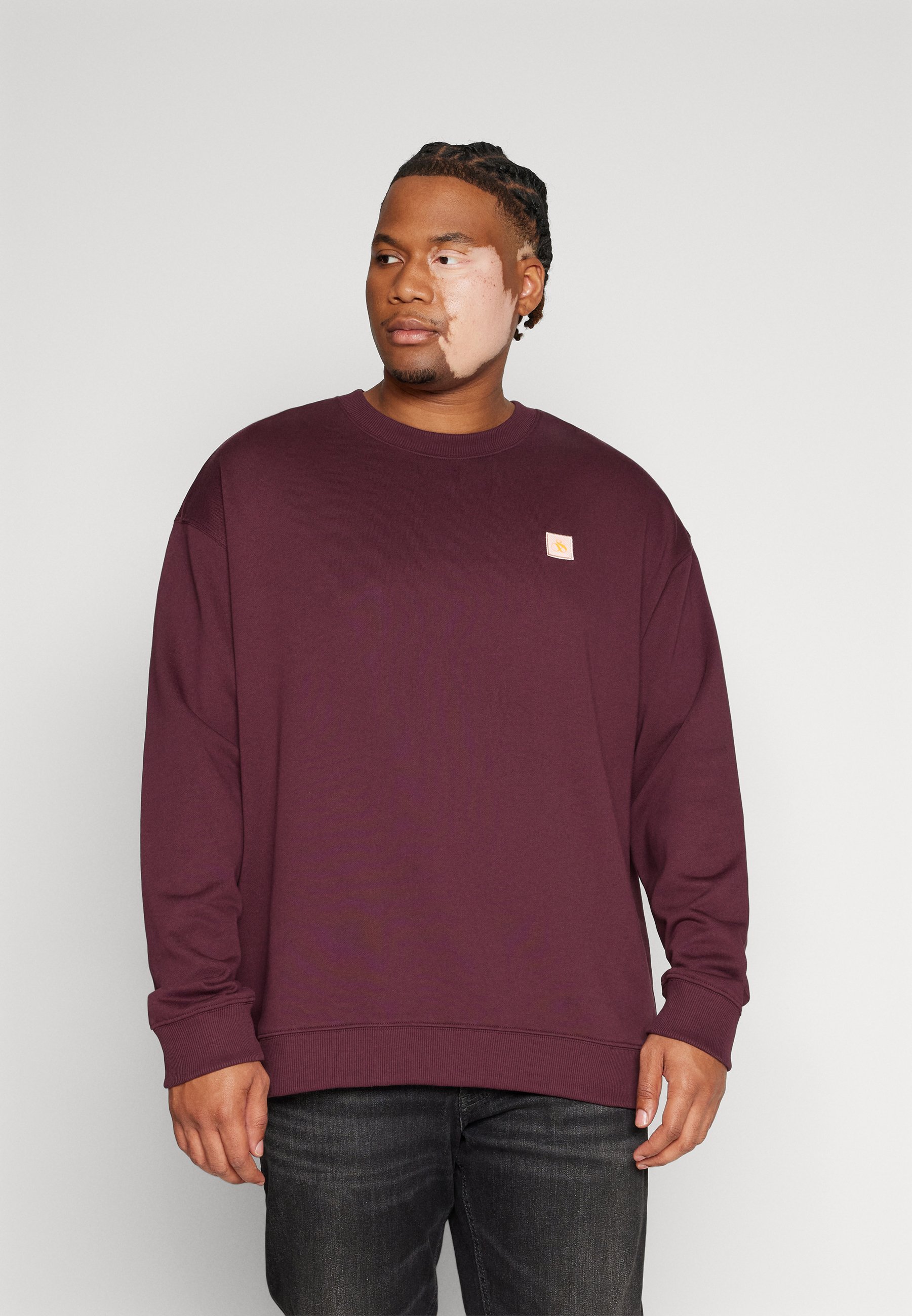 Scotch & Soda REGULAR FIT LOGO BADGE - Sweatshirt - berry wine/berry