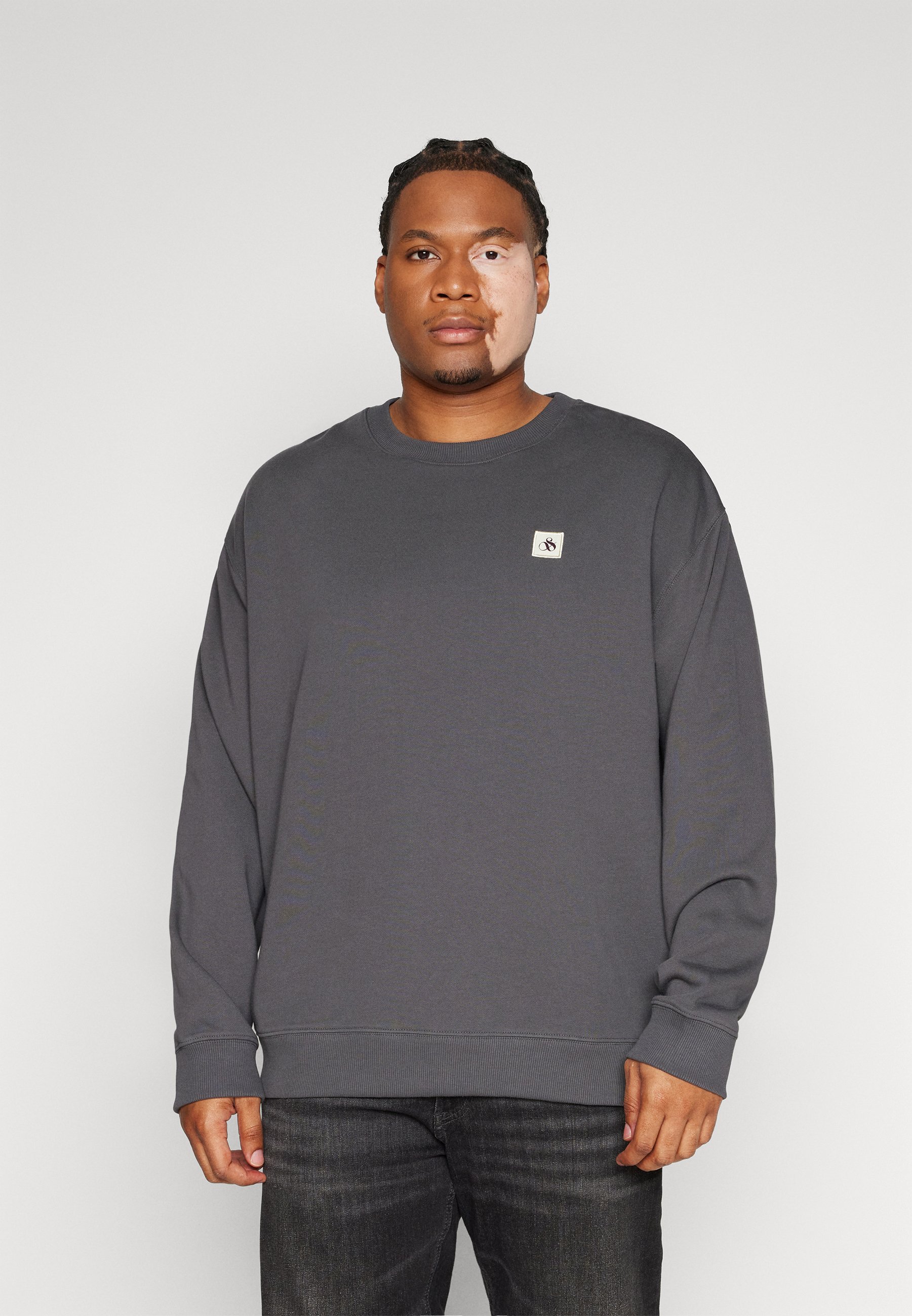 Scotch & Soda REGULAR FIT LOGO BADGE - Sweatshirt - moondust/dark grey