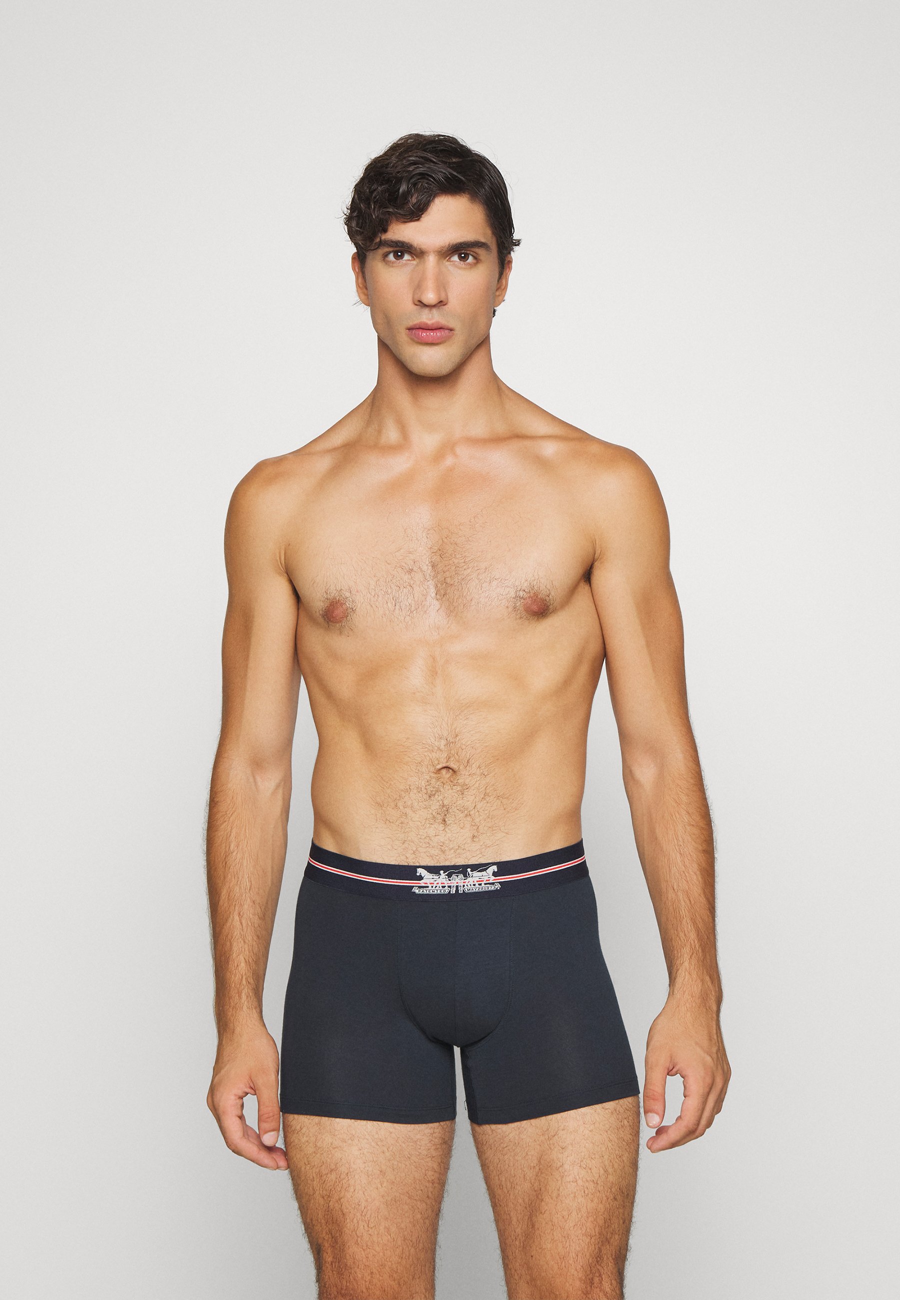 Levi's® MEN GIFTBOX HORSE PULL LOGO BRIEF 3 PACK  - Pants - navy/grey/black/dark blue