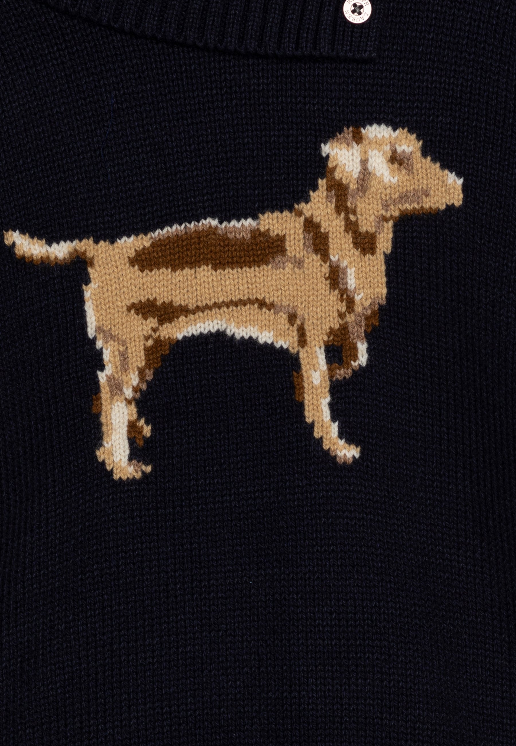 Polo Ralph Lauren TNDOGINTARSI - Jumper - navy/dark blue