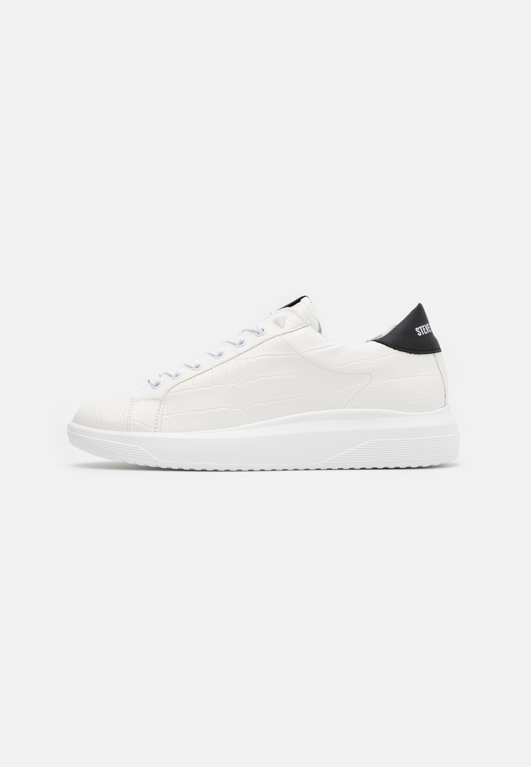 Steve Madden ALEX - Trainers - white/white