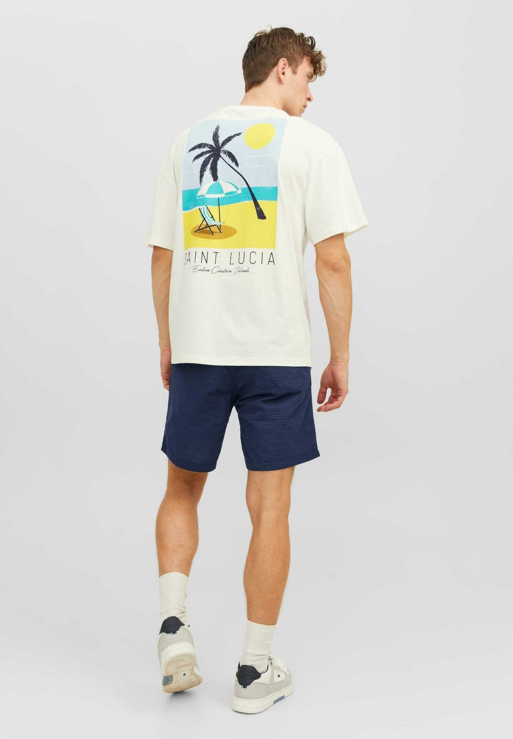 Jack &Jones JPSTJEFF SEERSUCKER DEK SN - Shorts - navy blazer/dark blue