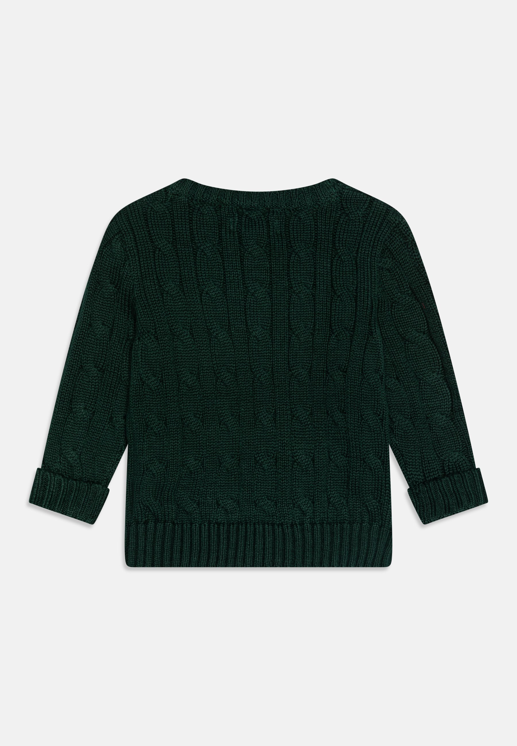 Polo Ralph Lauren BABY CABLE - Jumper - moss agate/harv wine/dark green