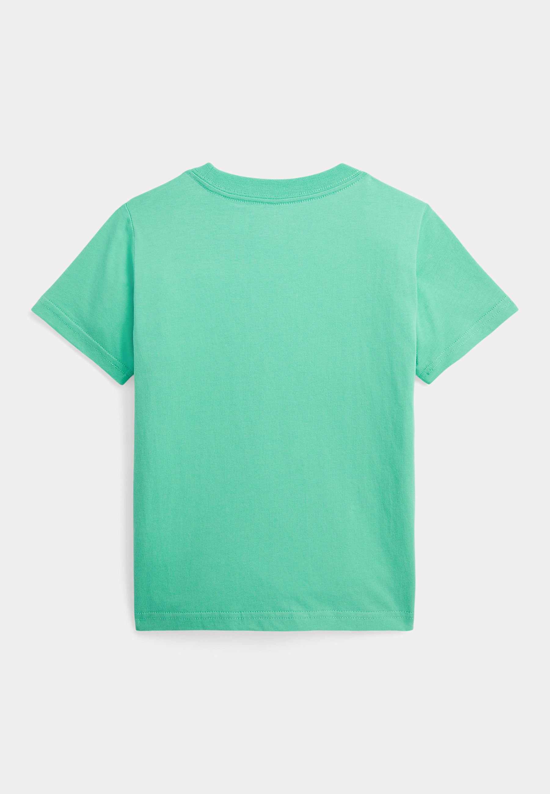 Polo Ralph Lauren Basic T-shirt - key west green/green