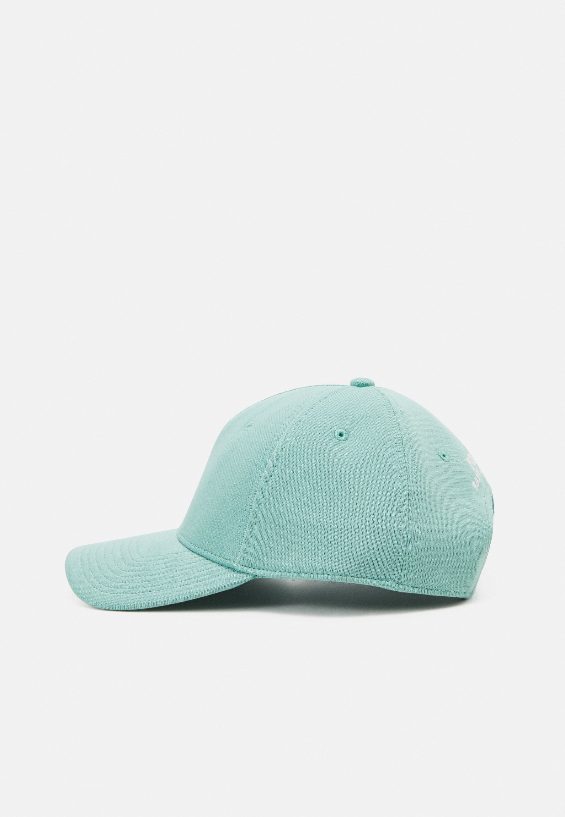 Polo Ralph Lauren Cap - essex green/green