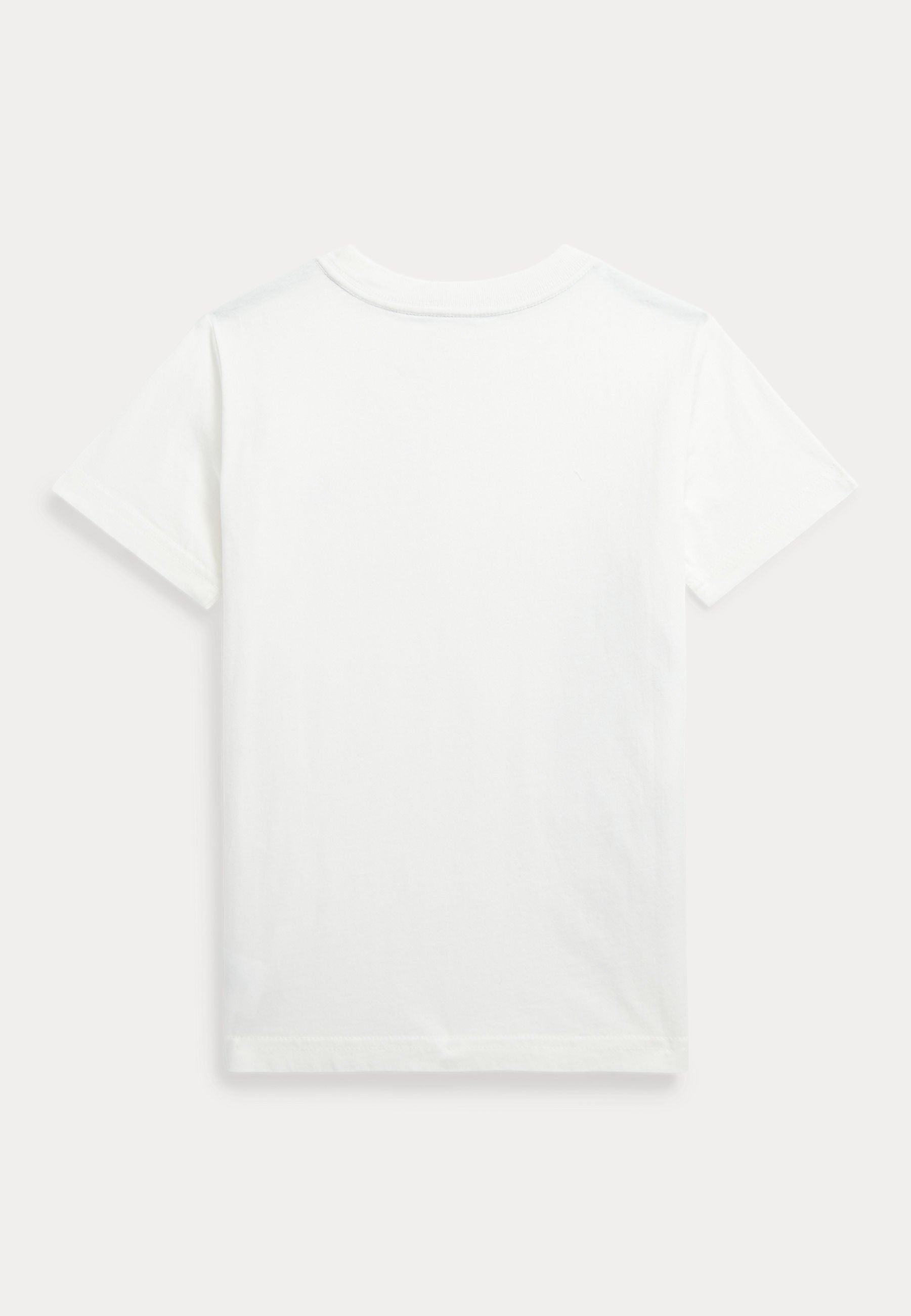 Polo Ralph Lauren Print T-shirt - deckwash white freshwater/white