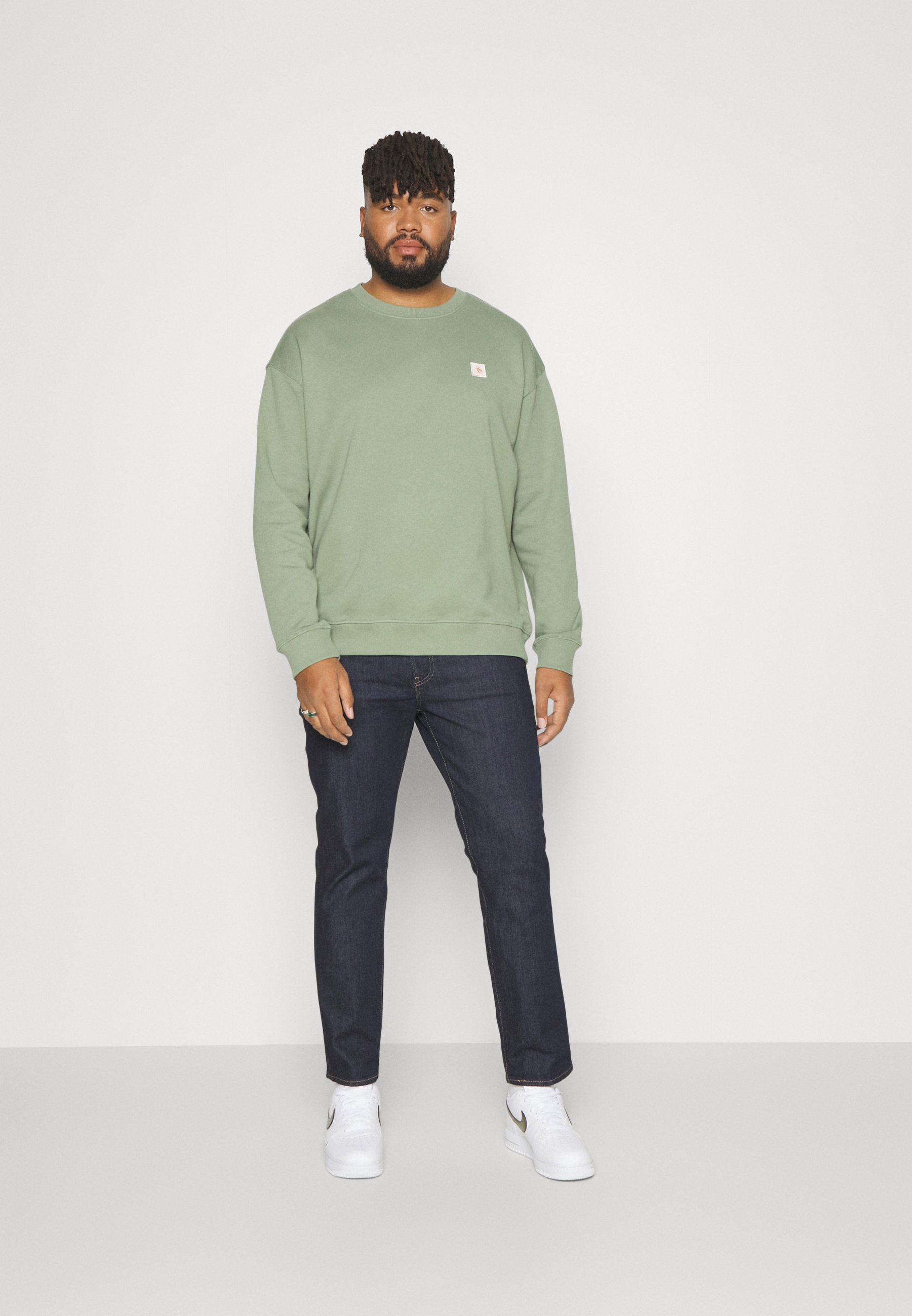 Scotch & Soda SEASONAL ESSENTIALS CLASSIC LOGO BADGE - Sweatshirt - army/green