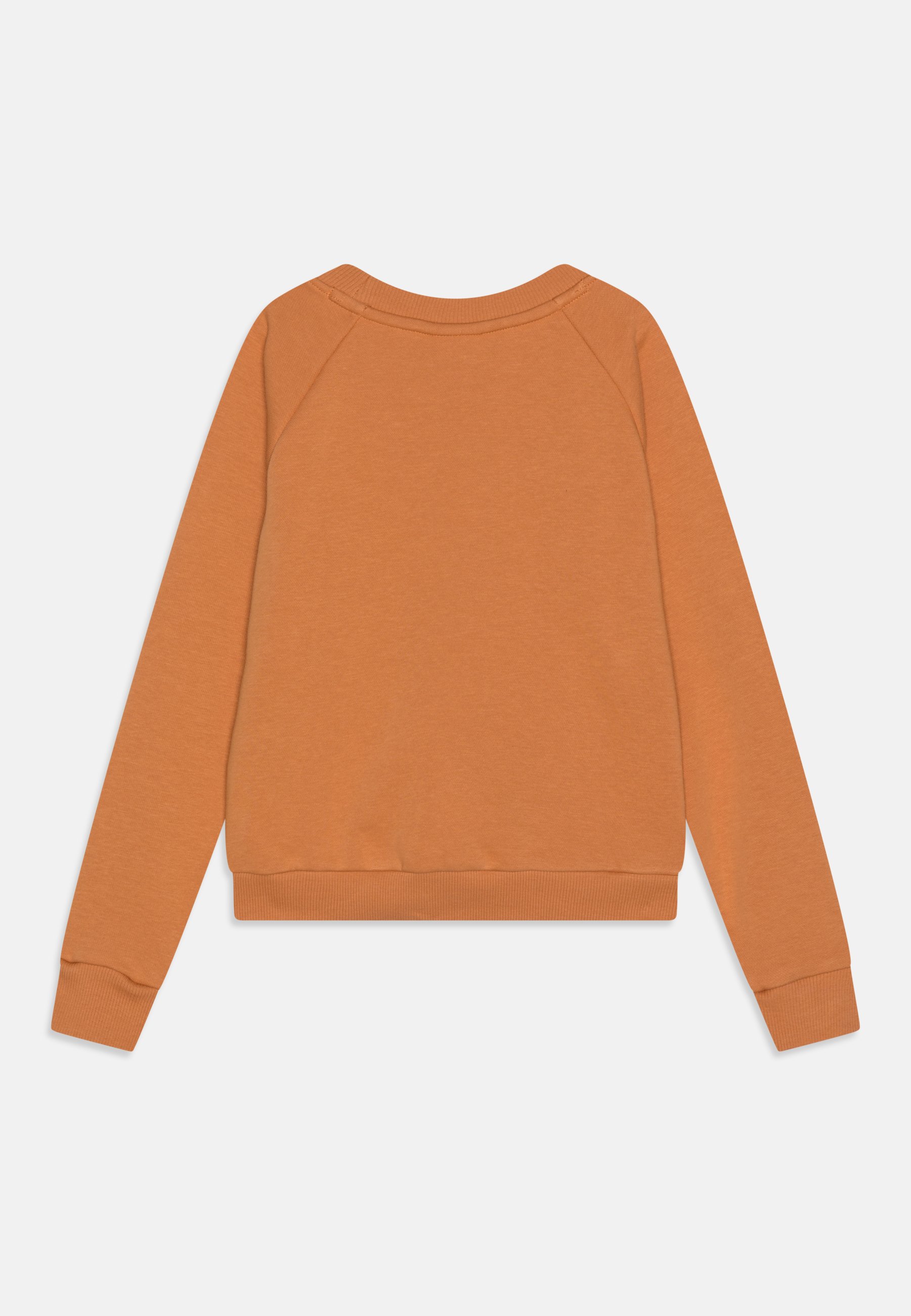 NB ESSENTIALS REIMAGINED ARCHIVE CREWNECK - Sweatshirt - sei/cognac