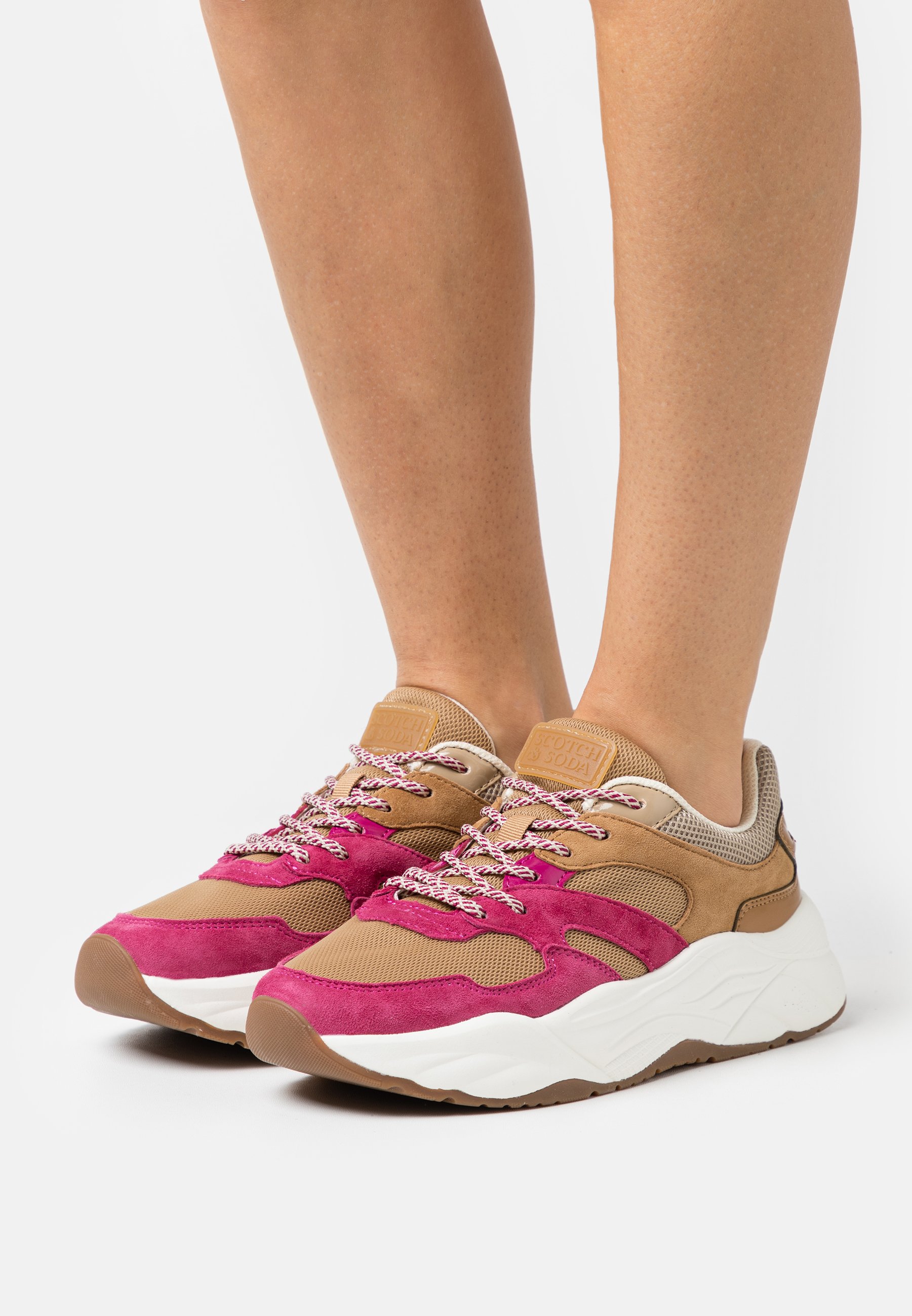 Scotch & Soda CELEST - Trainers - brown/purple/bordeaux