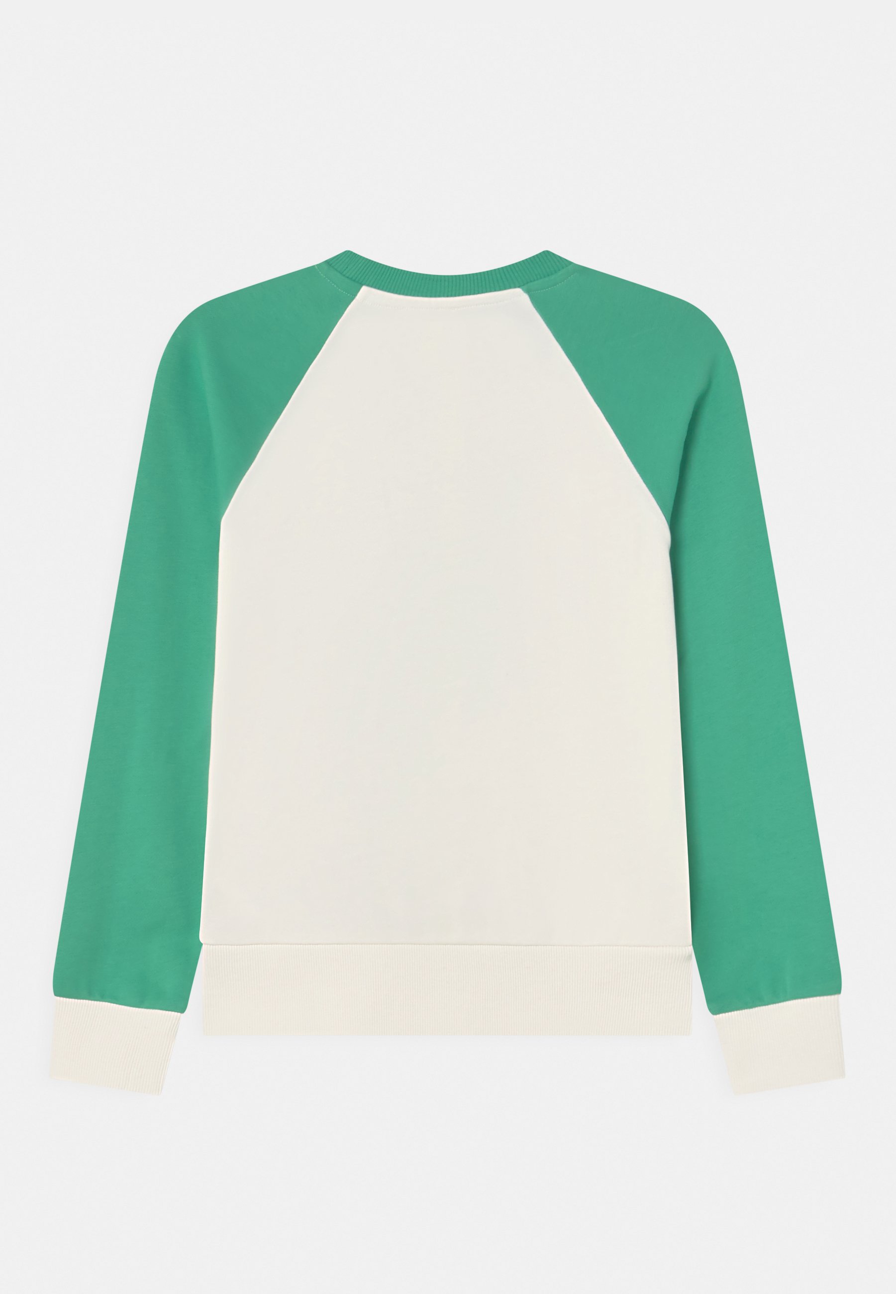 Diesel SBONNY - Sweatshirt - vapourous gray/green