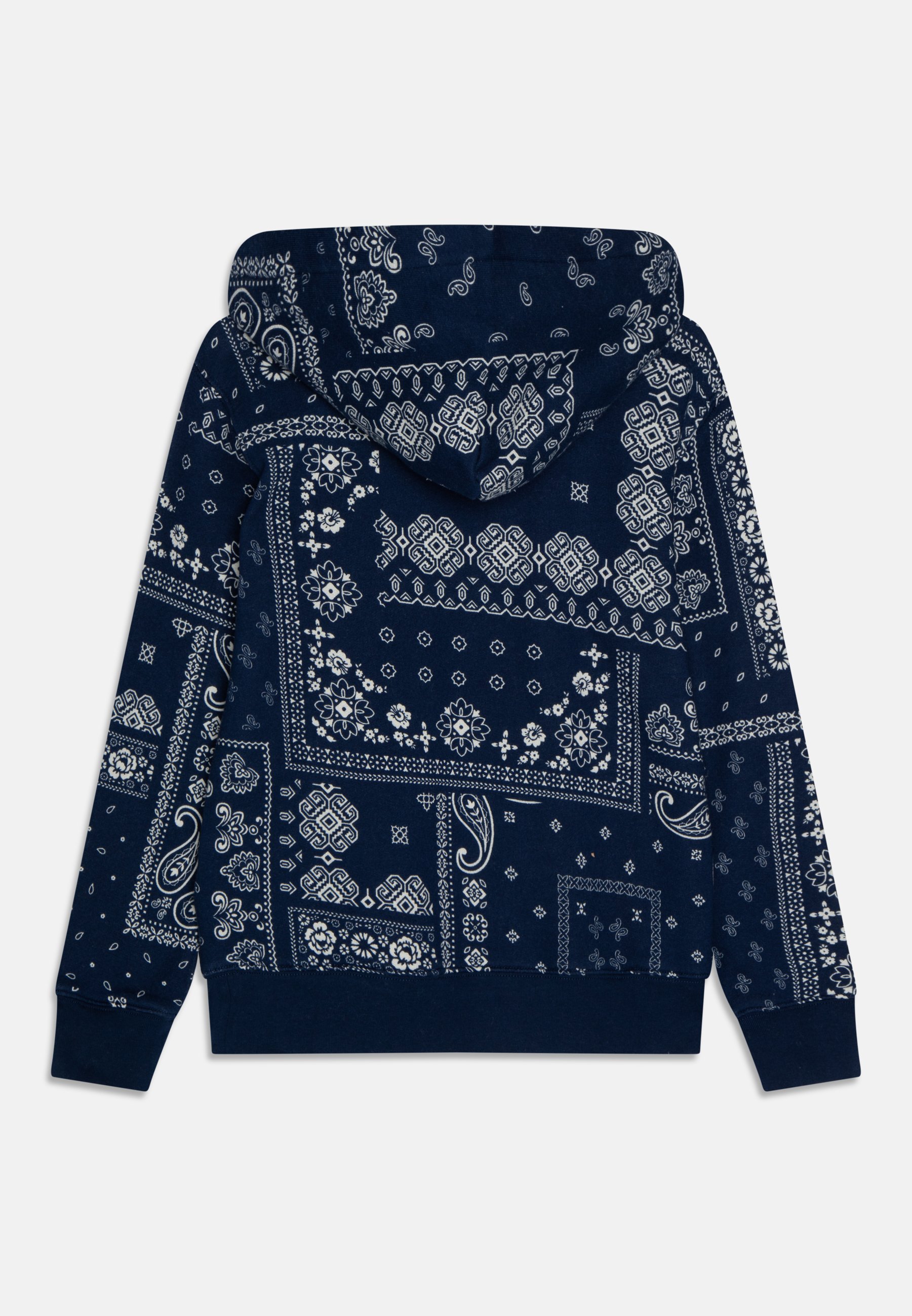 Polo Ralph Lauren Sweatshirt - back country/multi-coloured