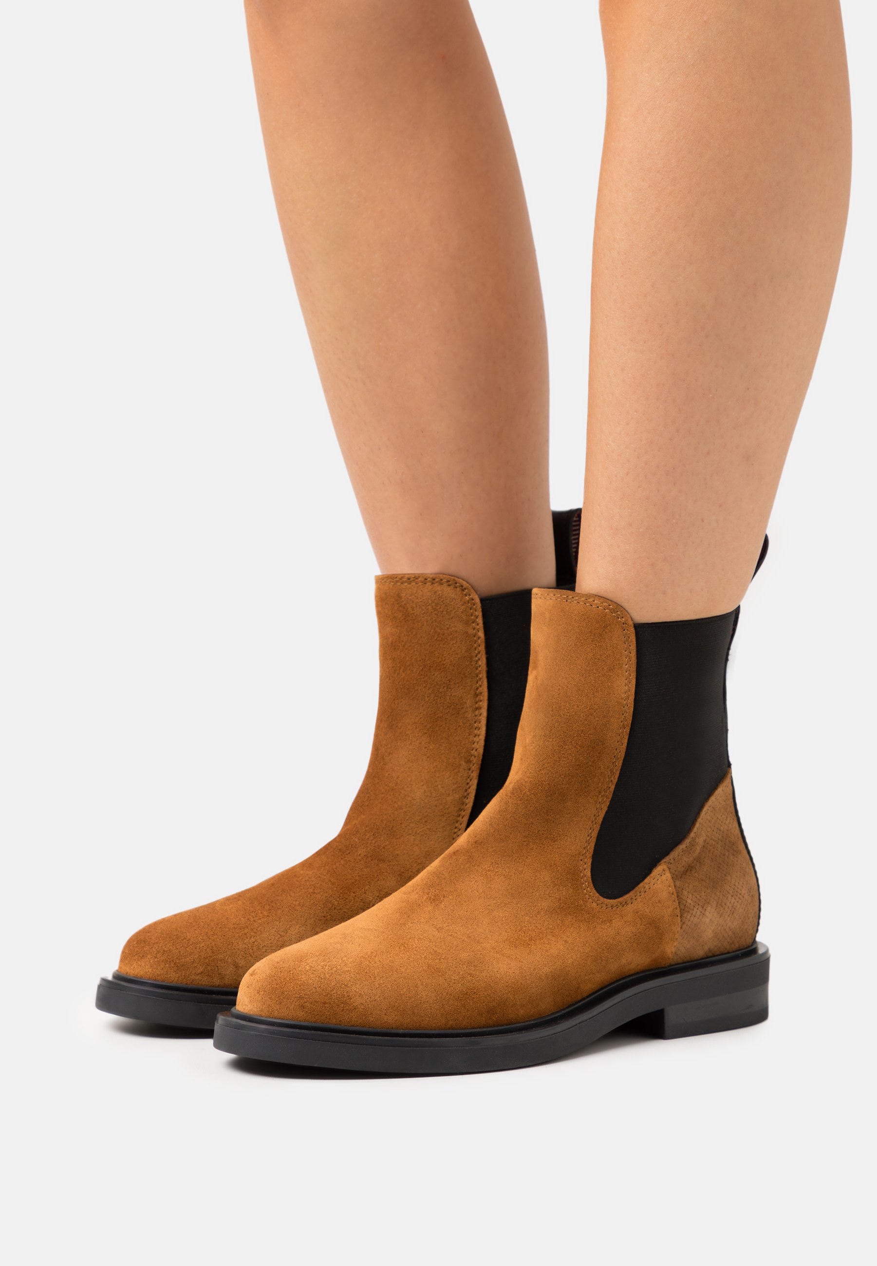 Scotch & Soda HAILEY - Classic ankle boots - cognac