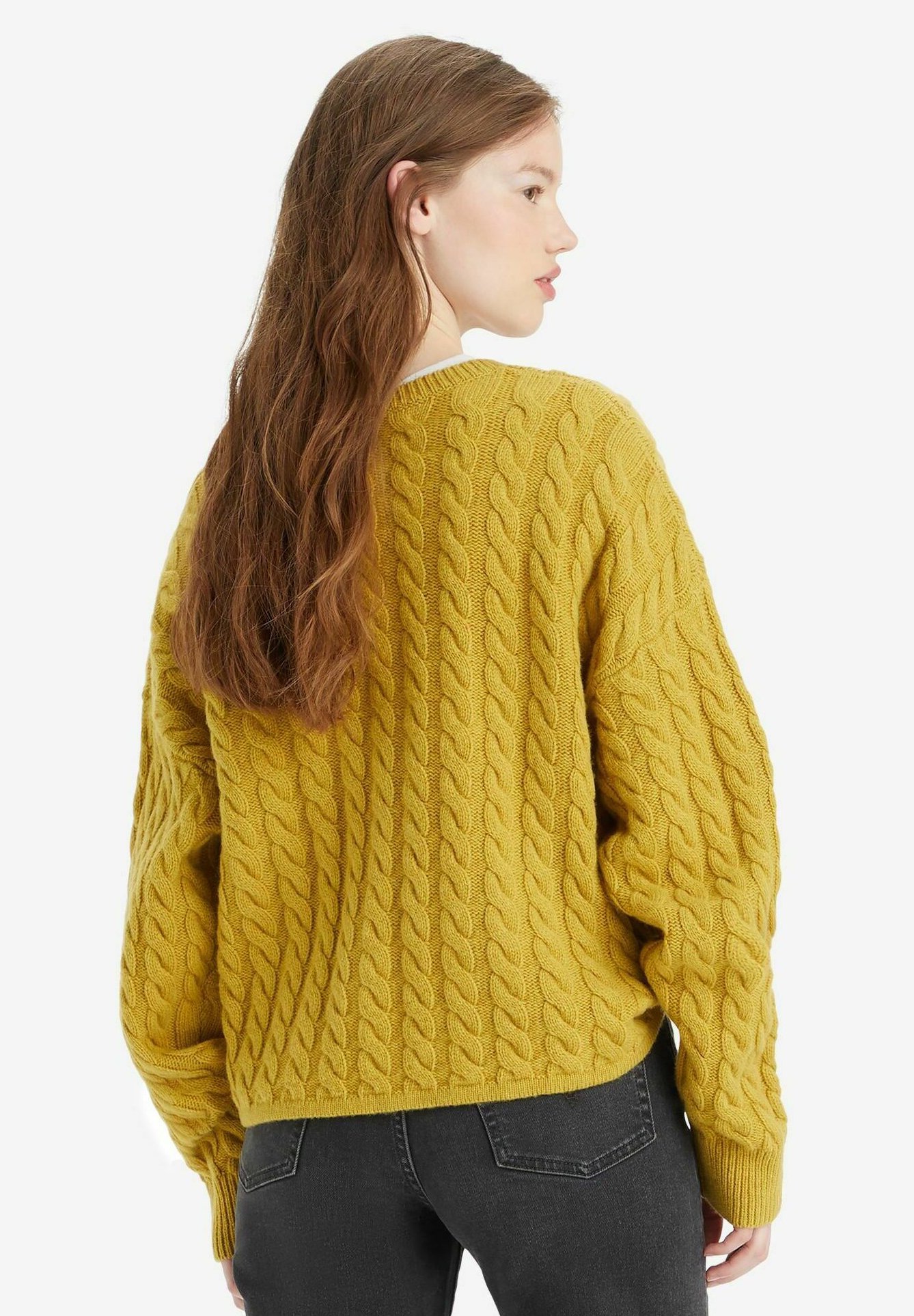 Levi's® RAE - Jumper - caviar/black
