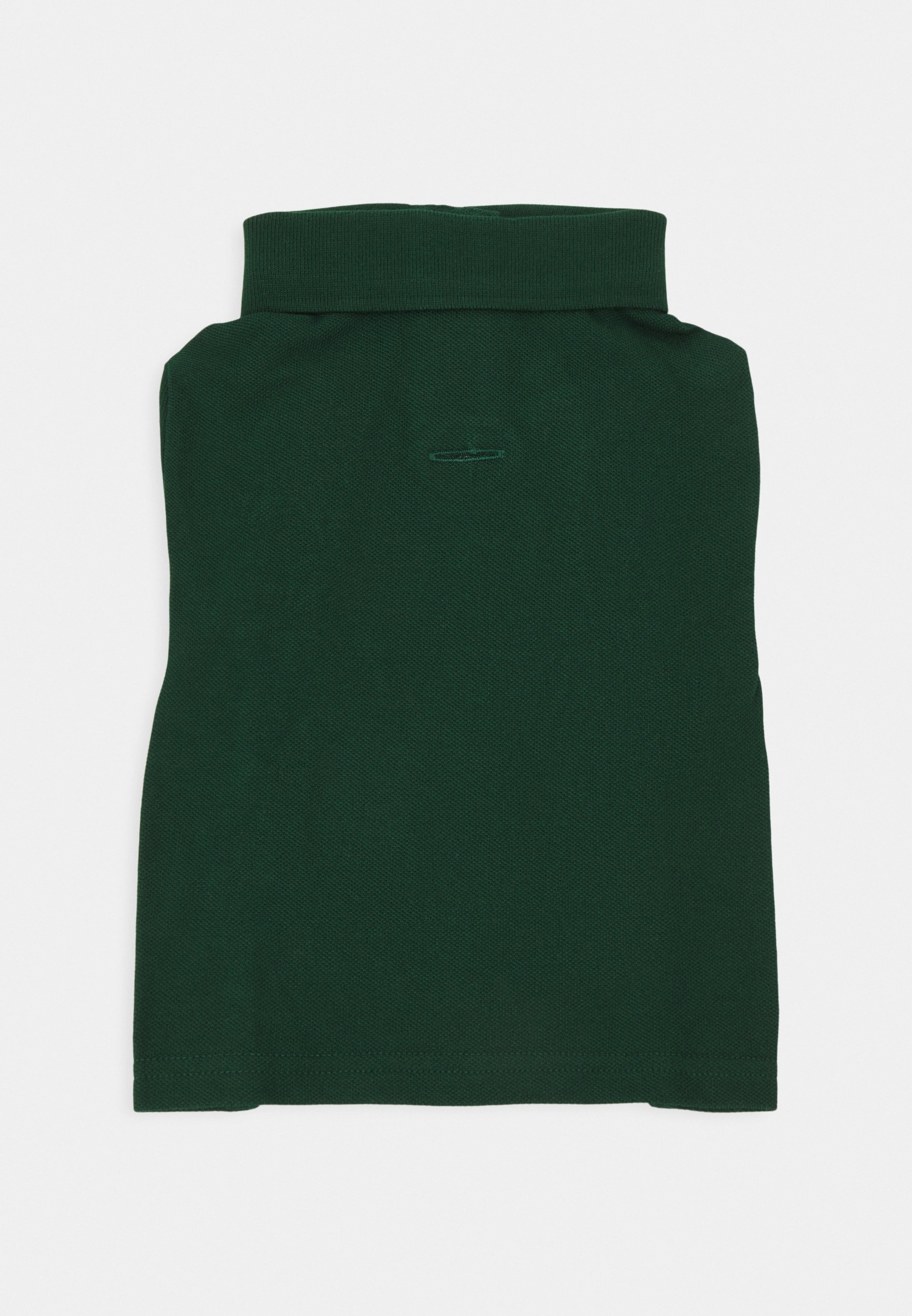 Polo Ralph Lauren DOG POLO SHIRT UNISEX - Pet accessory - college green/evergreen