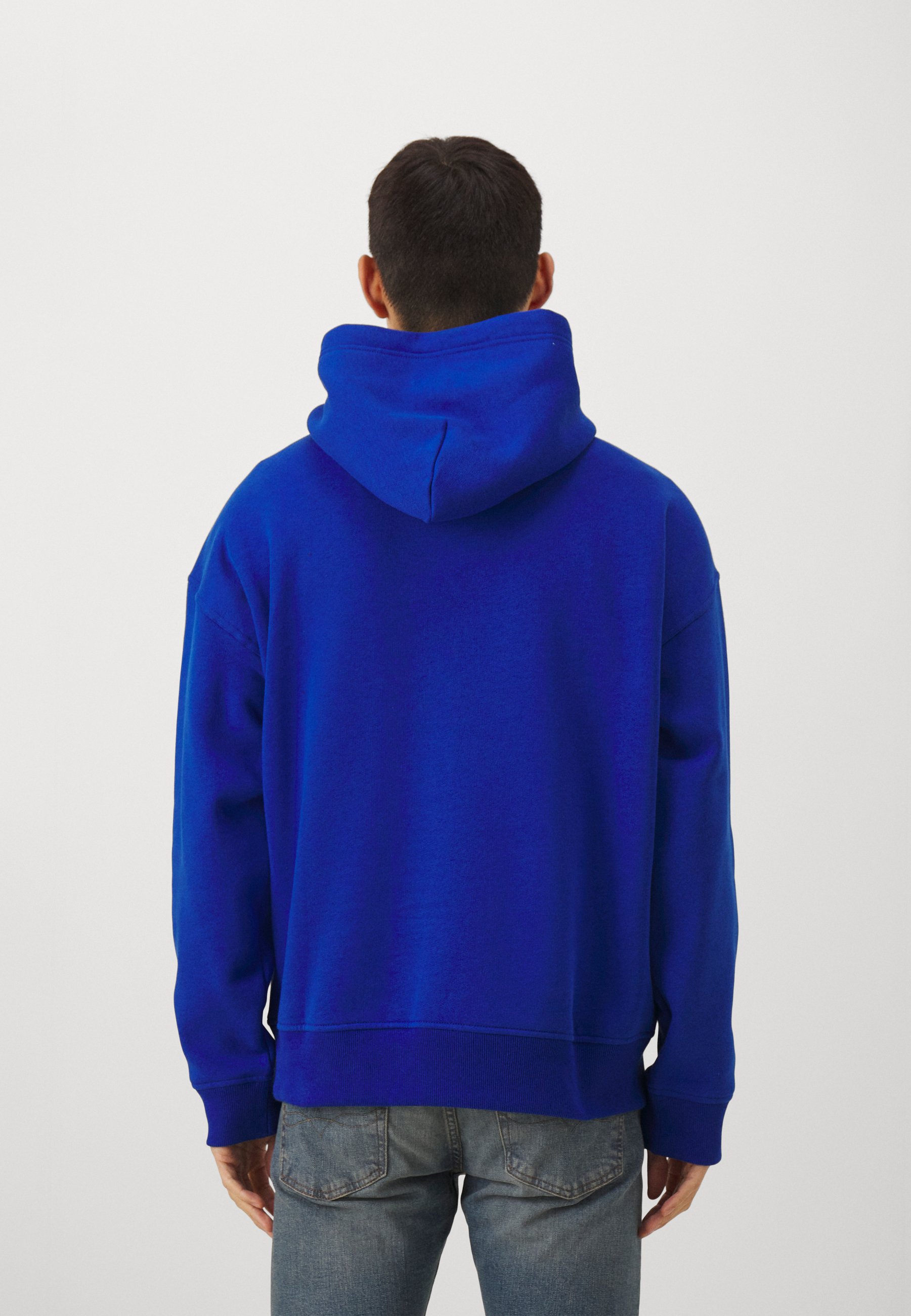 Polo Ralph Lauren LONG SLEEVE - Hoodie - sapphire star/blue