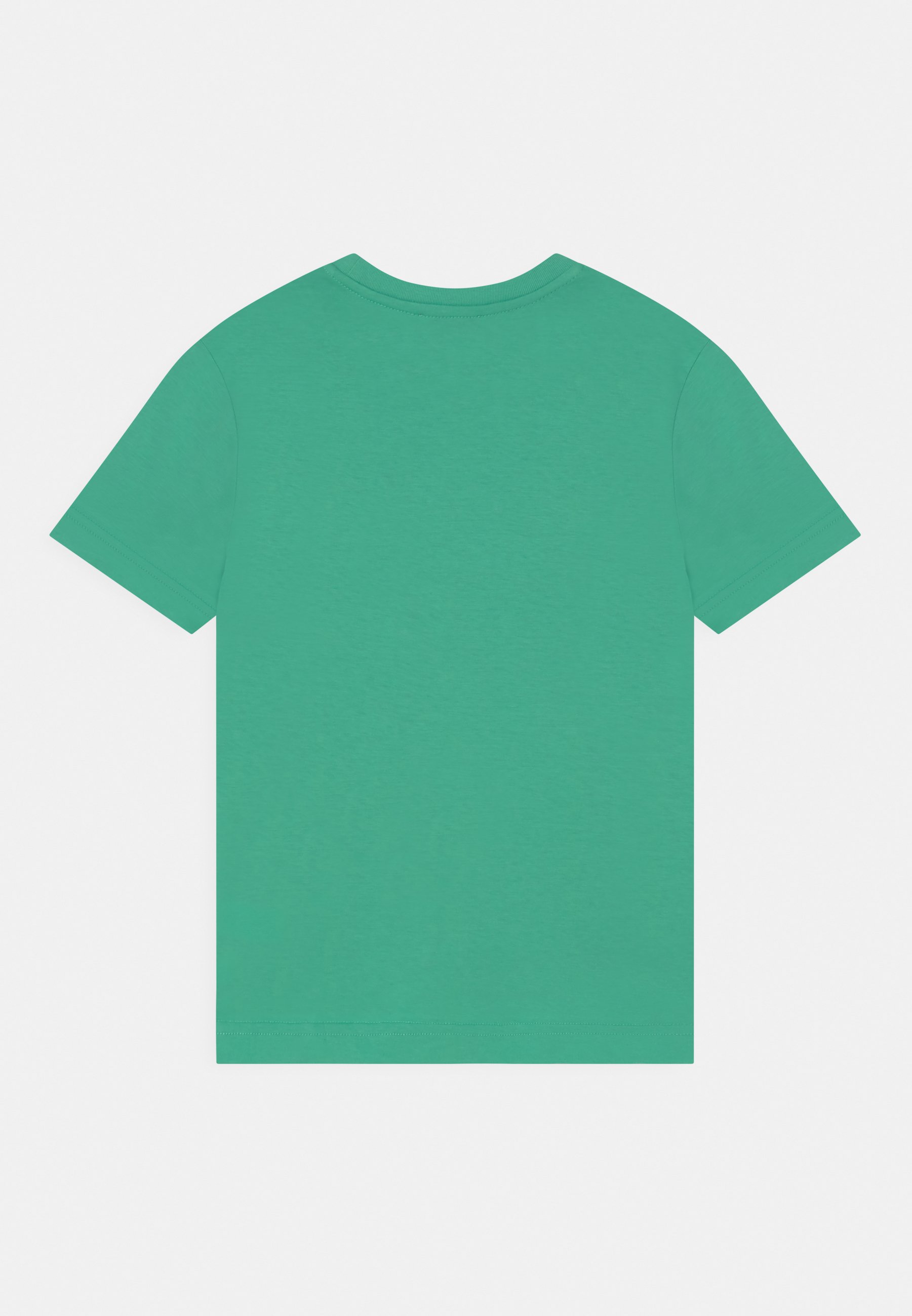 Diesel TDIEGORIND - Print T-shirt - light green