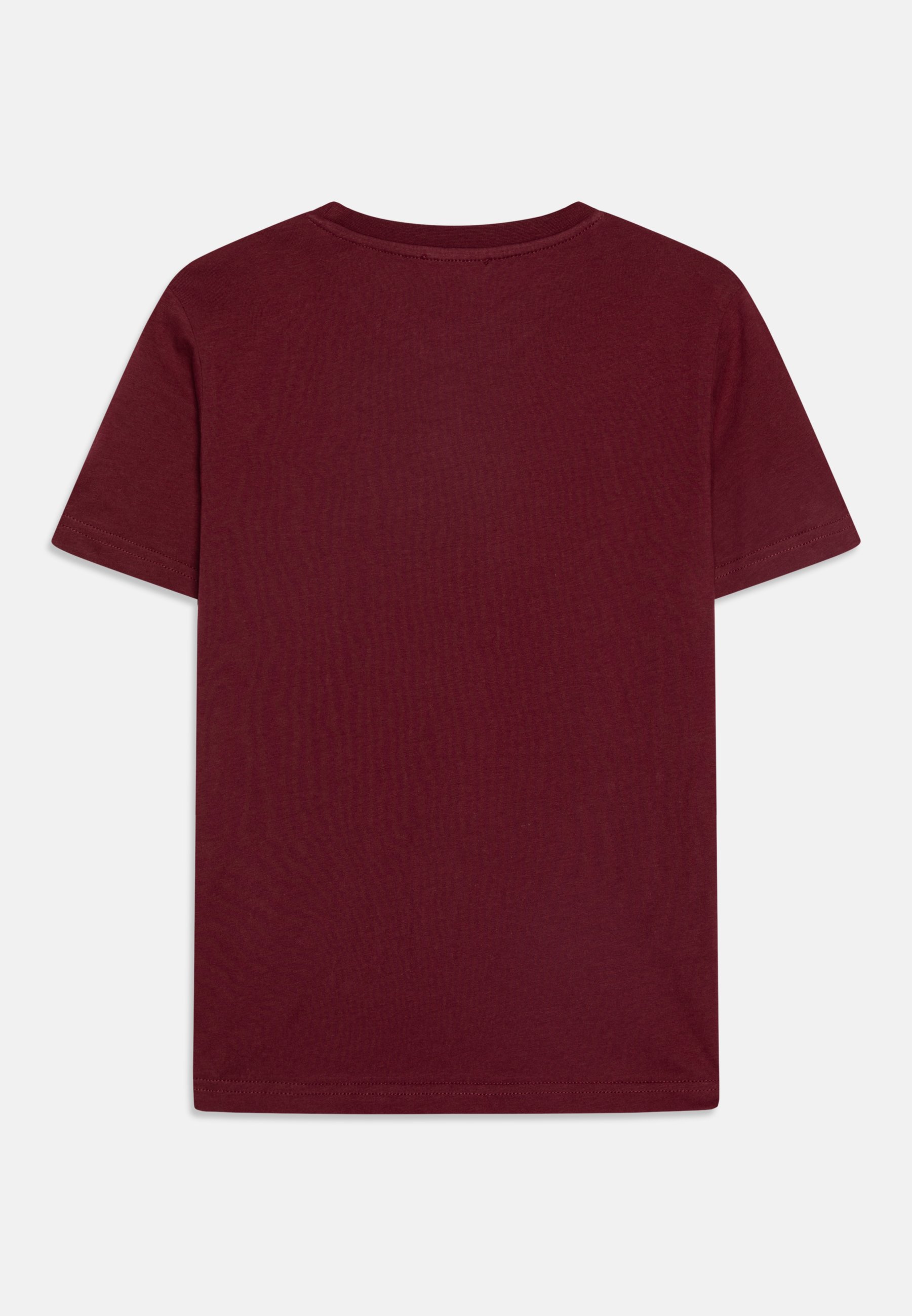 Diesel TDIEGORK52 UNISEX - Print T-shirt - windsor wine/red