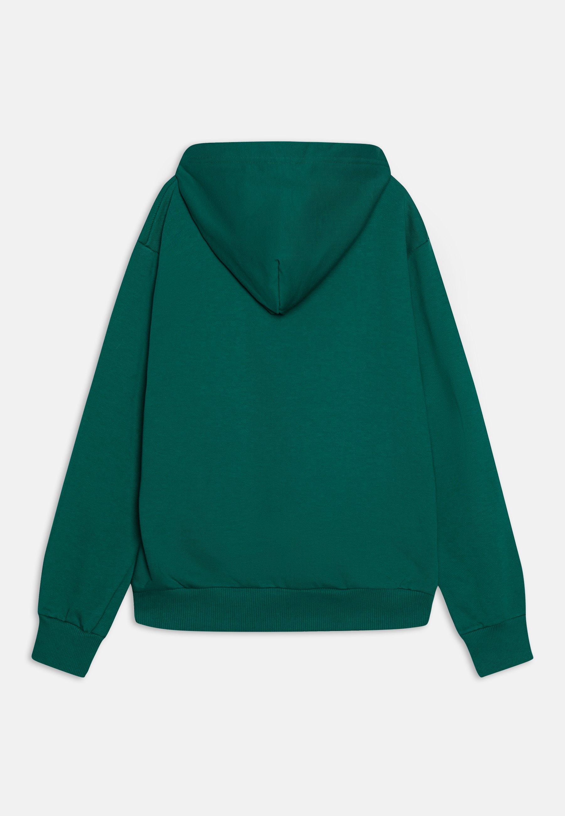 Diesel LSFORT DI OVER HOOD UNISEX - Hoodie - green