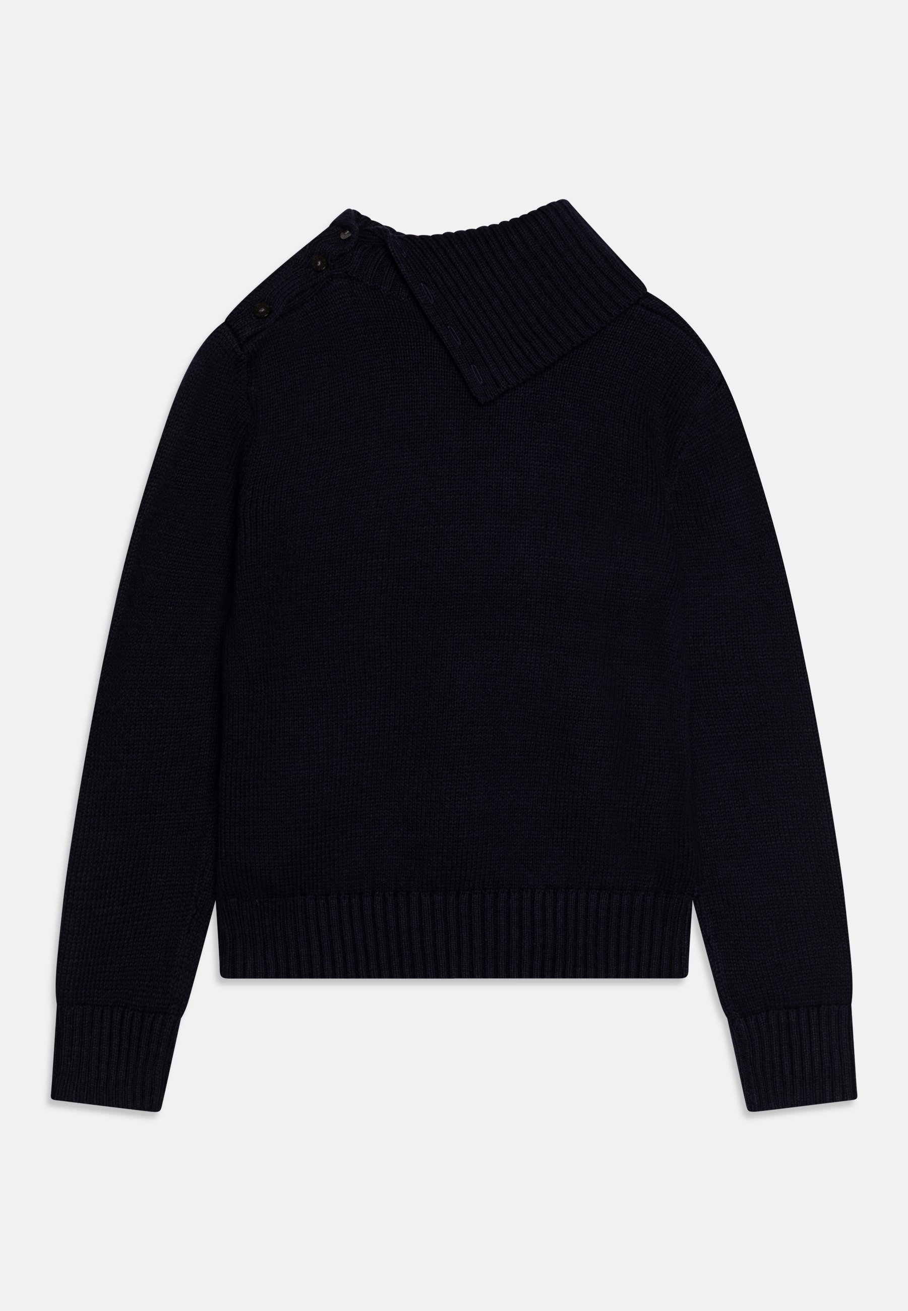 Polo Ralph Lauren TNDOGINTARSI - Jumper - navy/dark blue