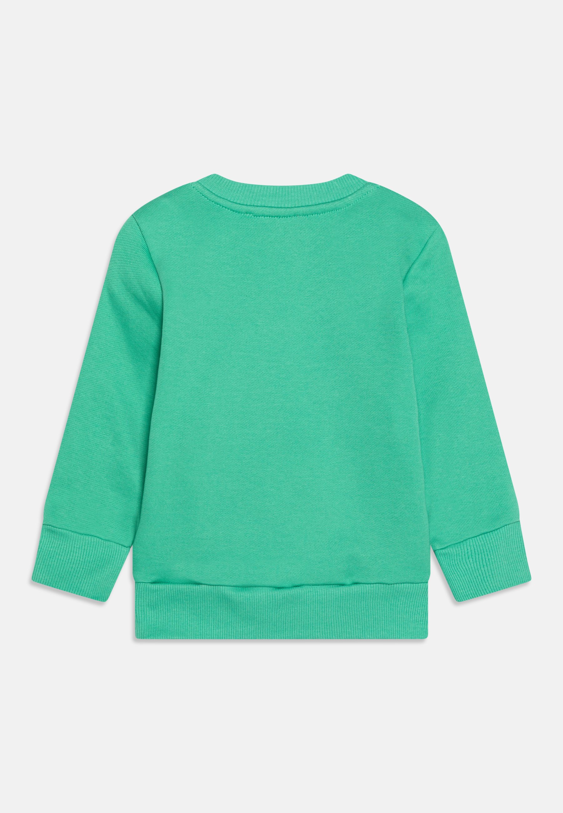 Diesel UNISEX - Sweatshirt - green/light green